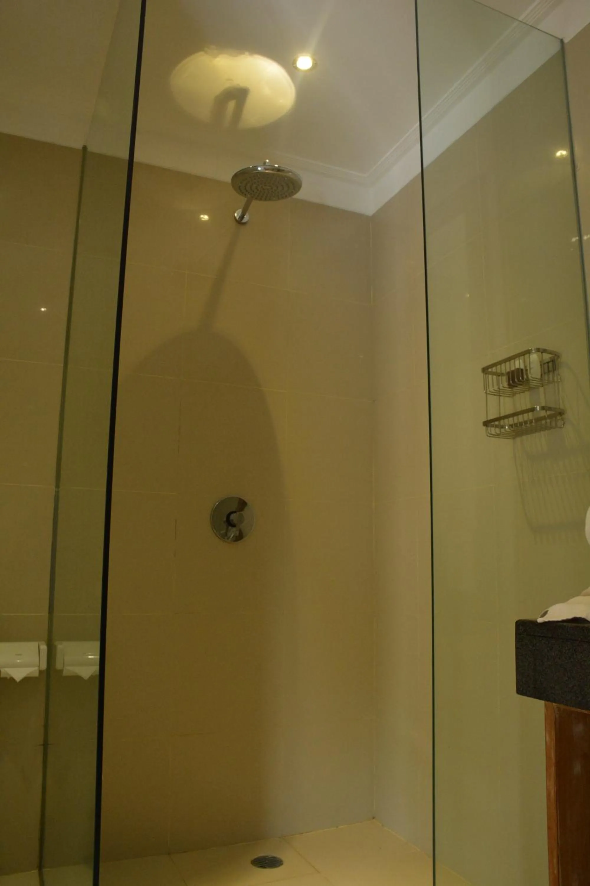 Shower in Taman Kesari Villas