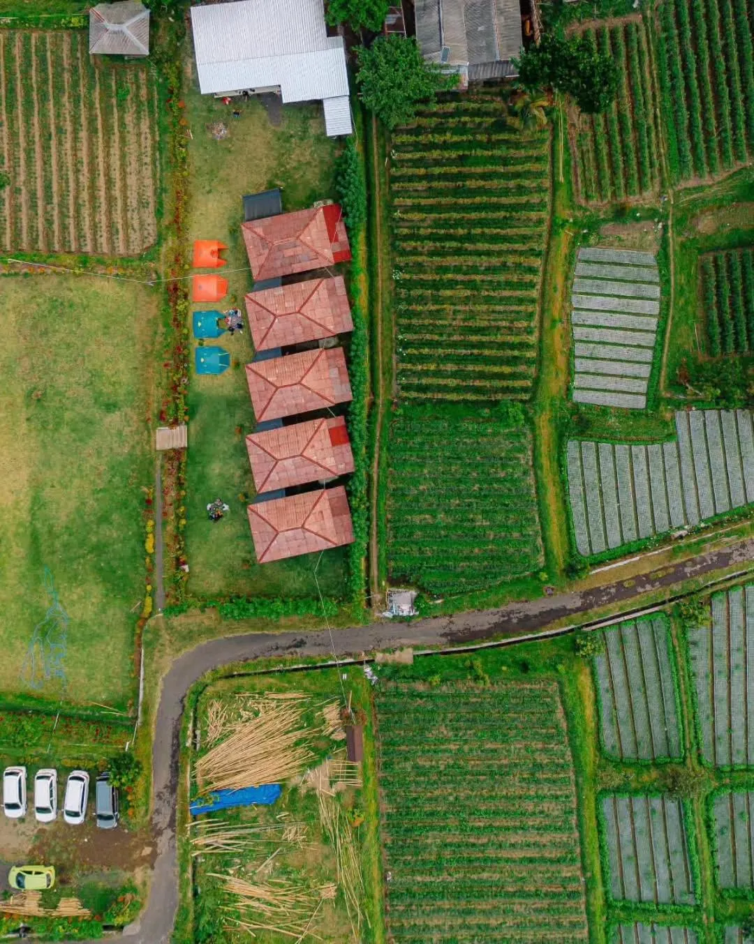 View (from property/room) in Bale Gantar