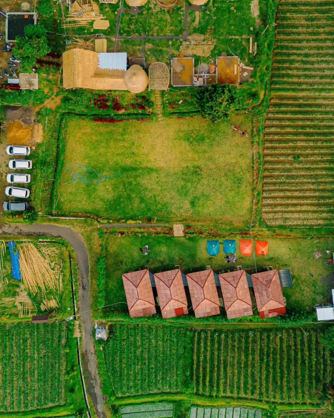 View (from property/room) in Bale Gantar