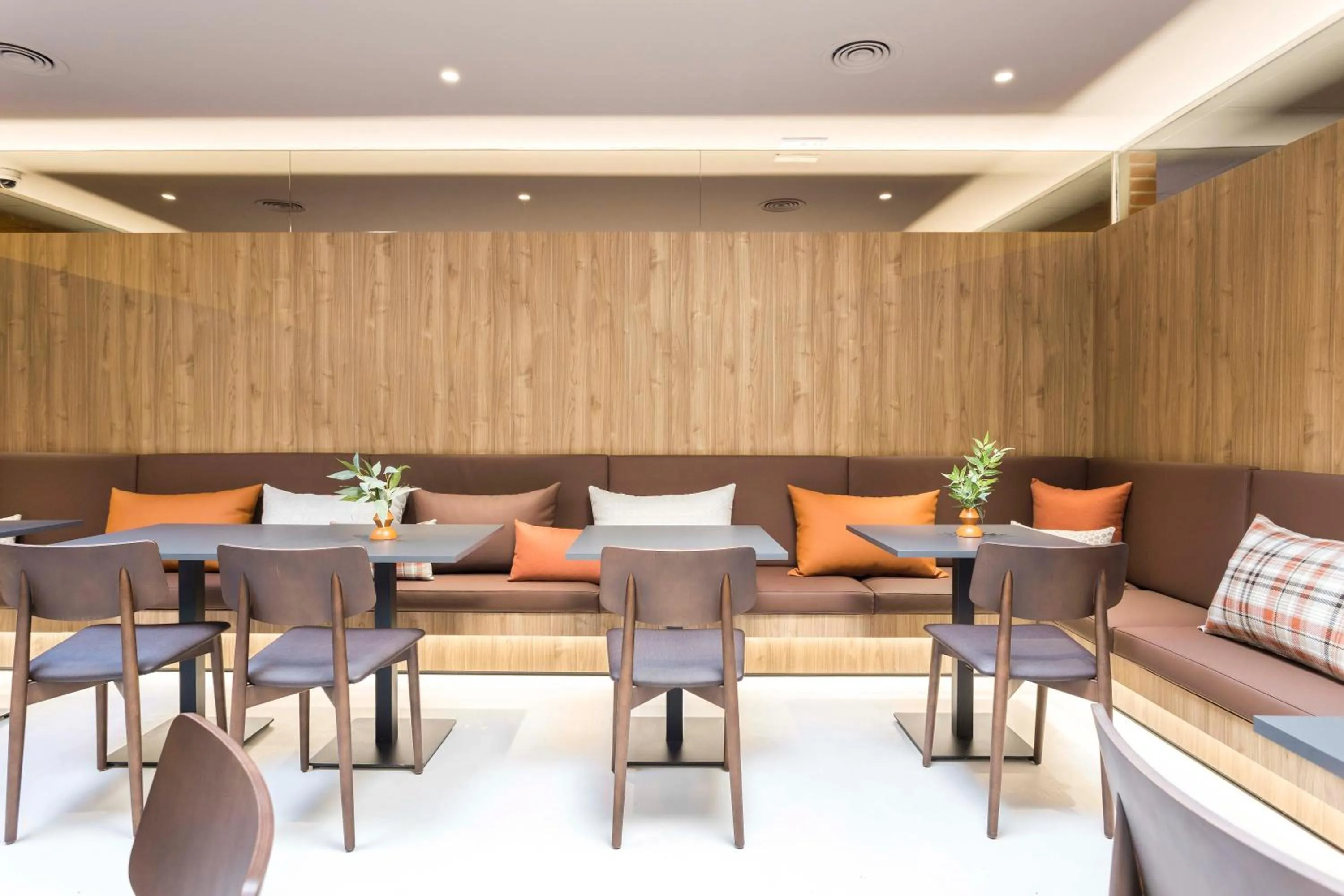 Restaurant/places to eat in Hotel Terrassa Confort