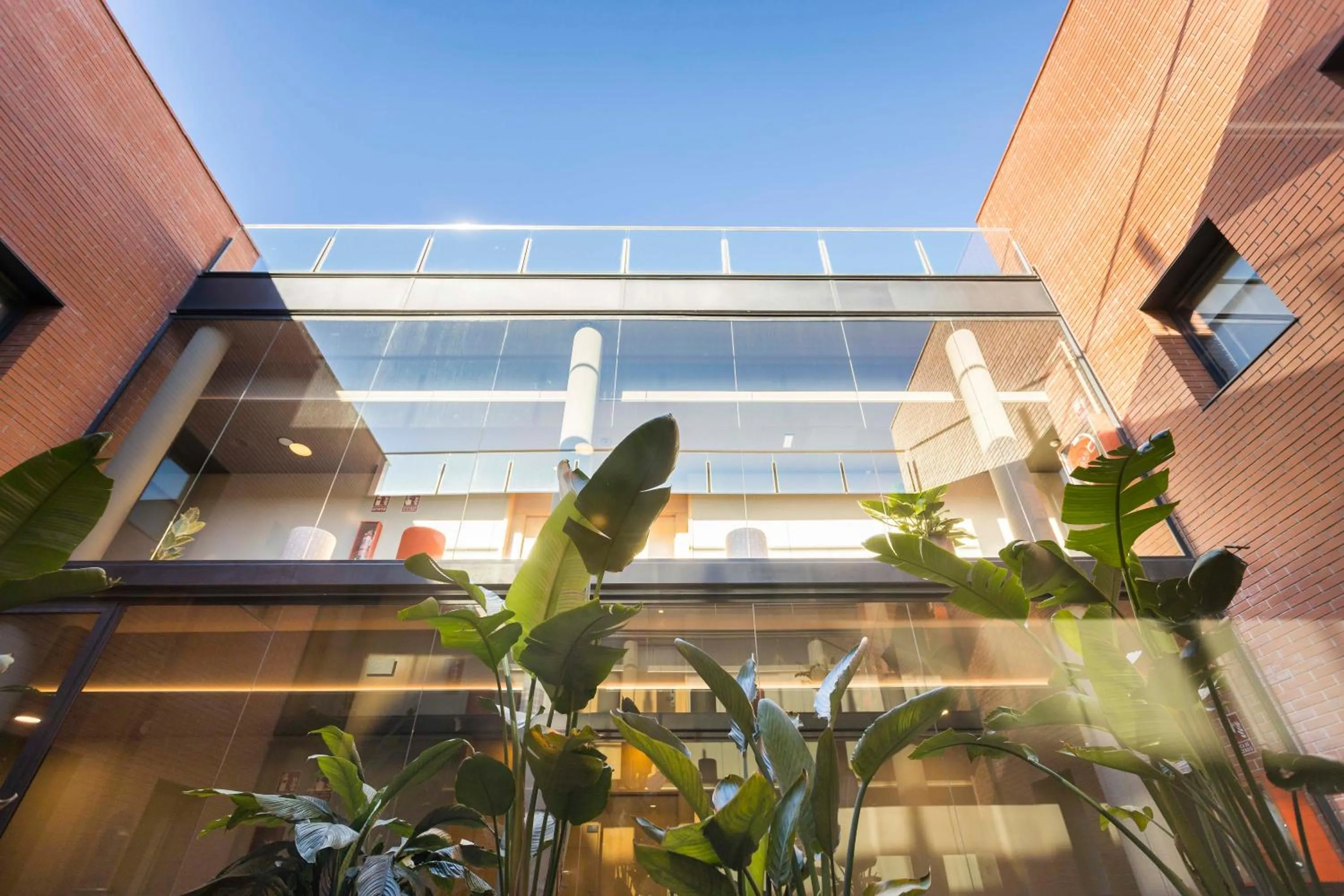 Garden in Hotel Terrassa Confort