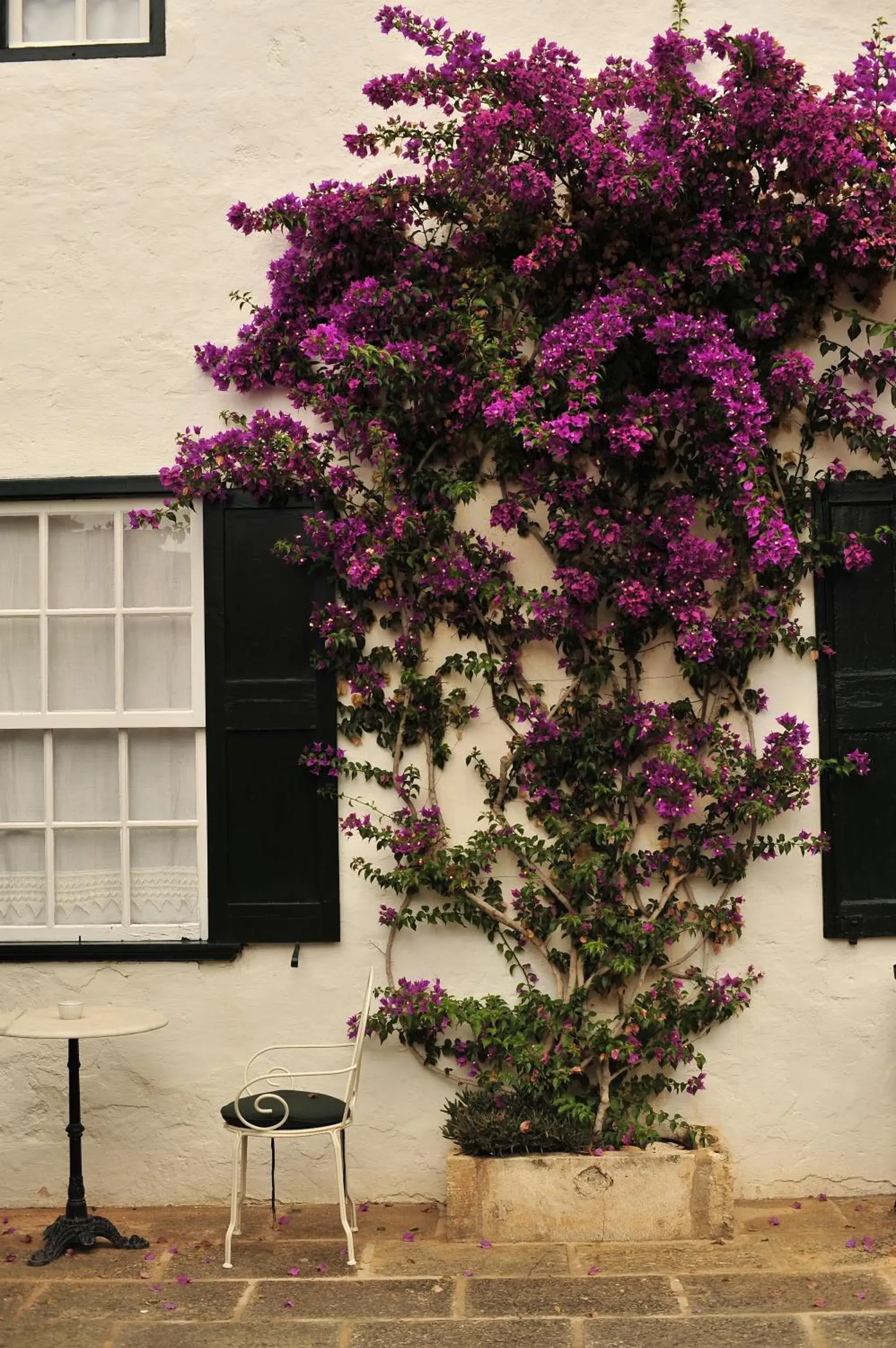 Facade/entrance in Hotel Rural Biniarroca - Adults Only Facade/entrance in Hotel Rural Biniarroca - Adults Only