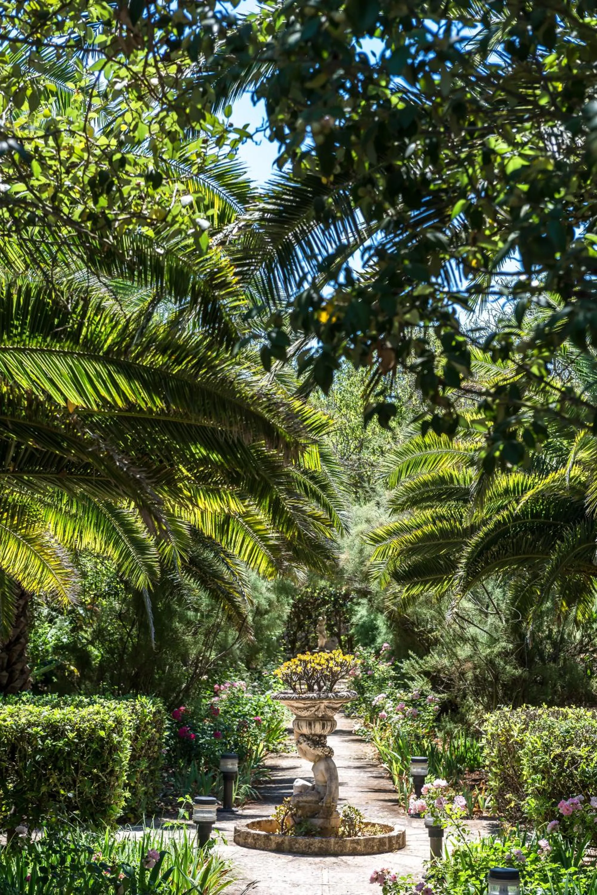 Garden in Hotel Rural Biniarroca - Adults Only