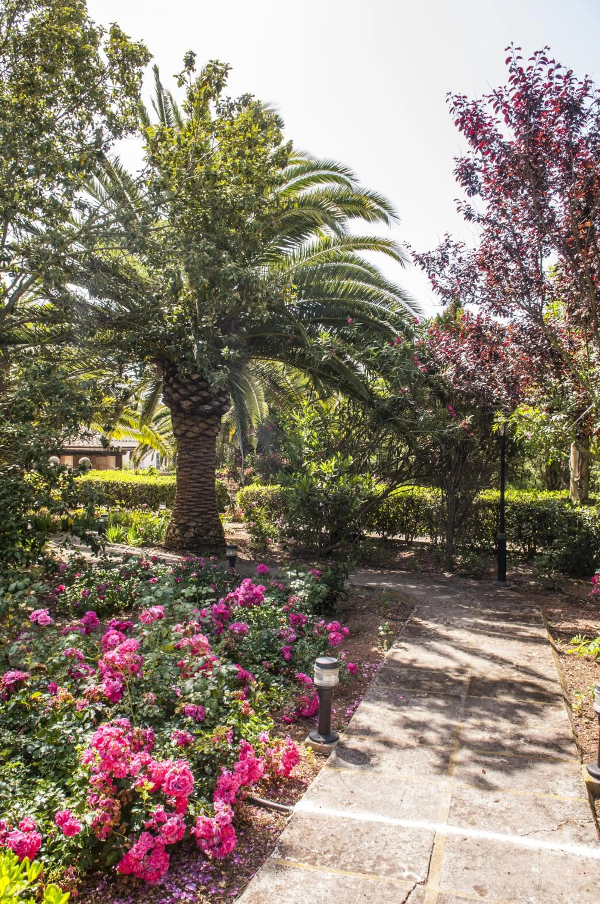 Garden in Hotel Rural Biniarroca - Adults Only