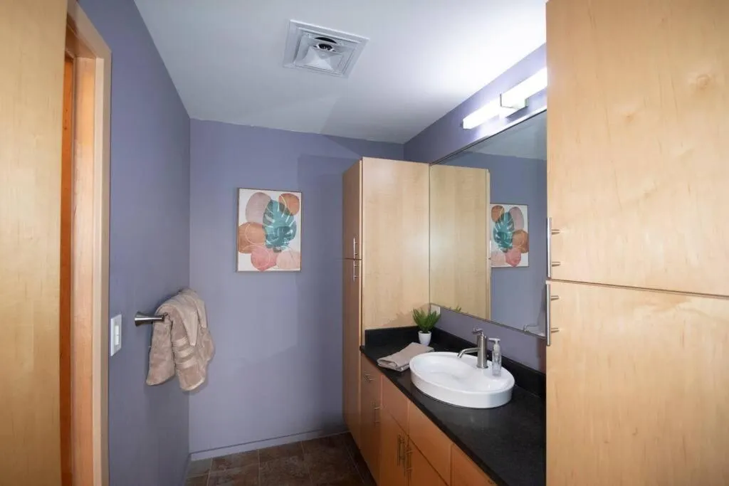 Luxury Condo in Downtown Champaign