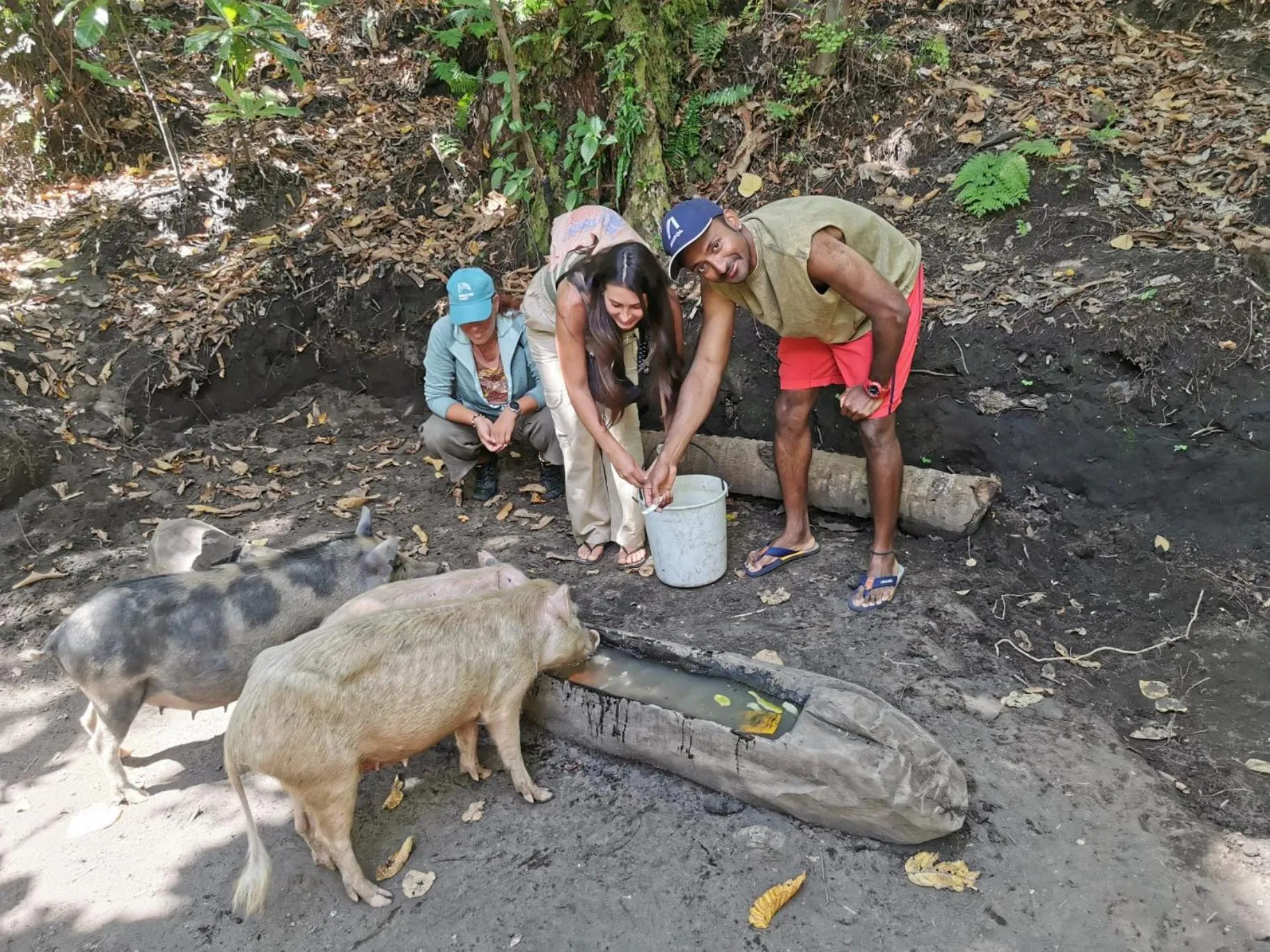 Tanna Lava View Bungalows