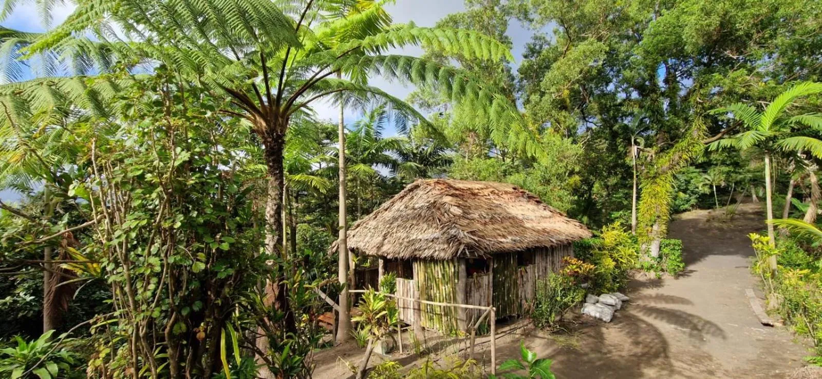 Kitchen or kitchenette in Tanna Lava View Bungalows
