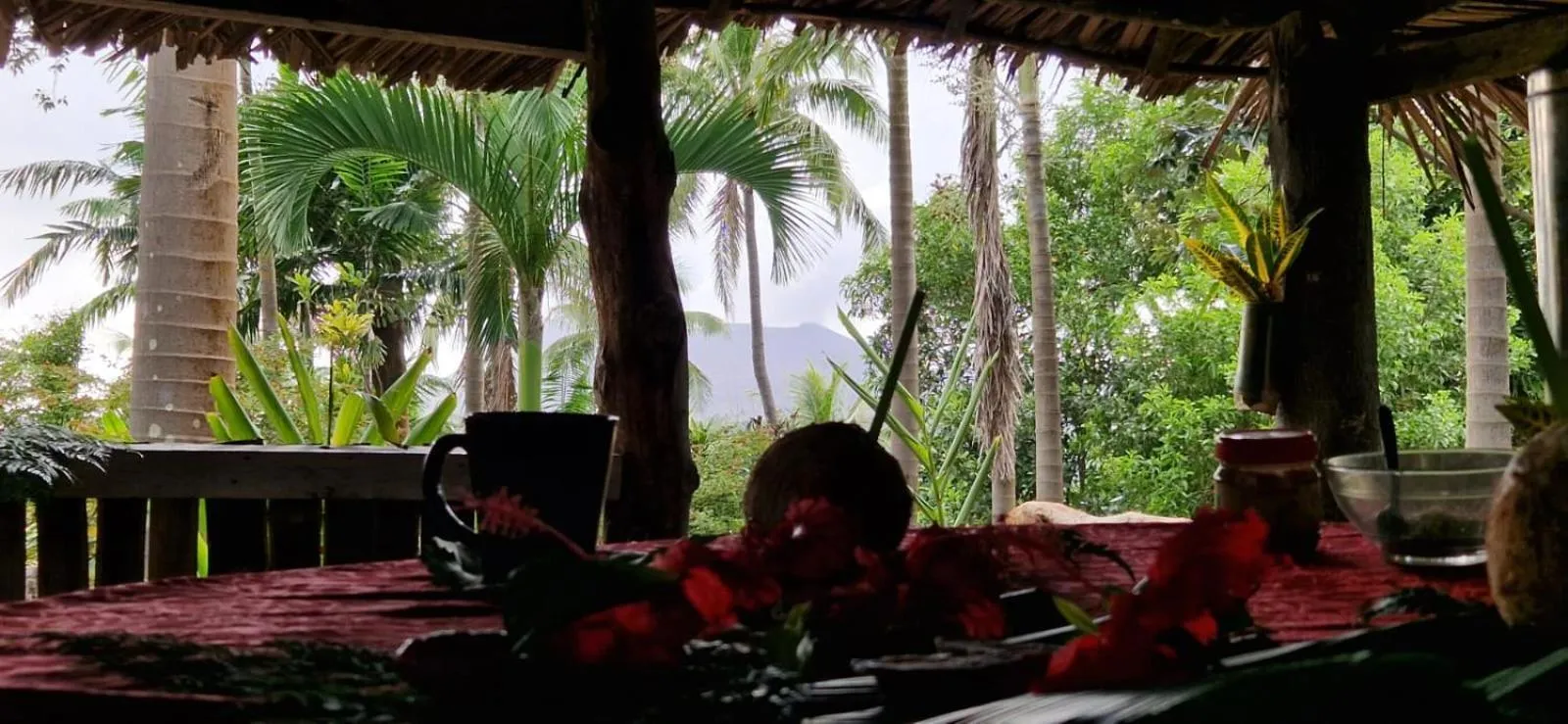 Kitchen or kitchenette in Tanna Lava View Bungalows
