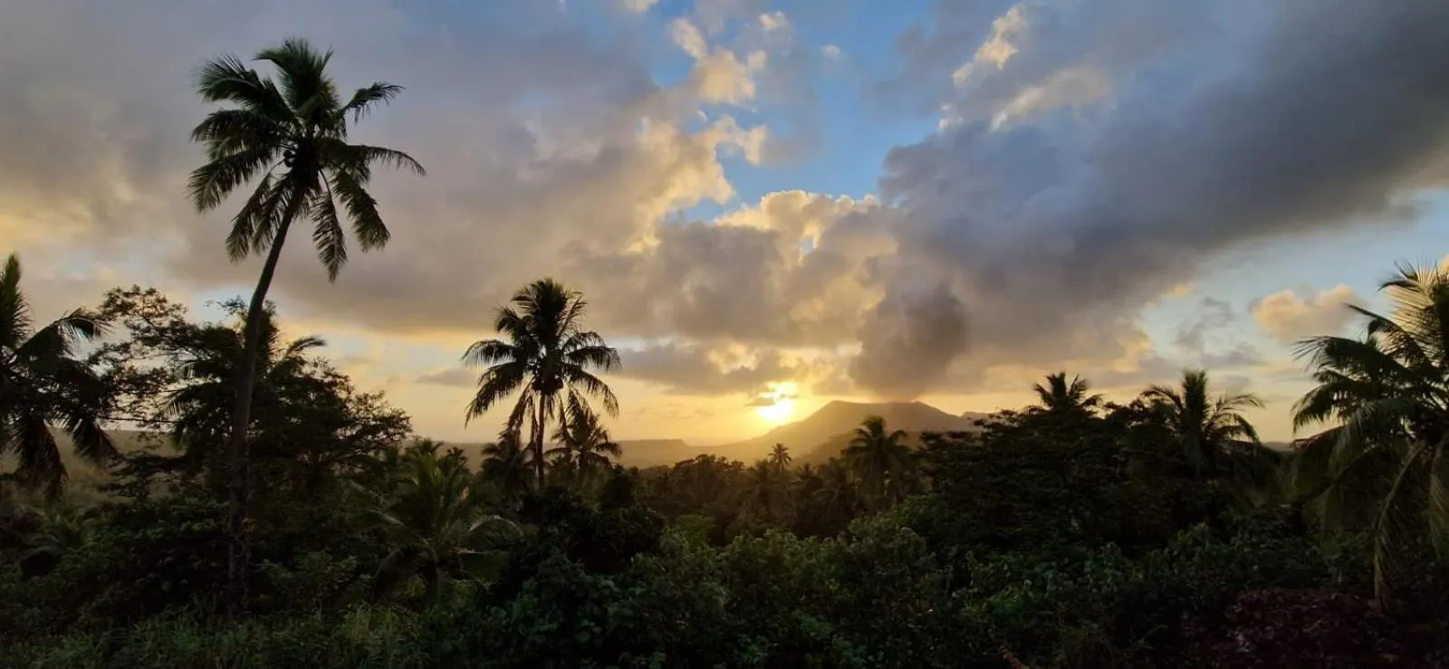 Tanna Lava View Bungalows