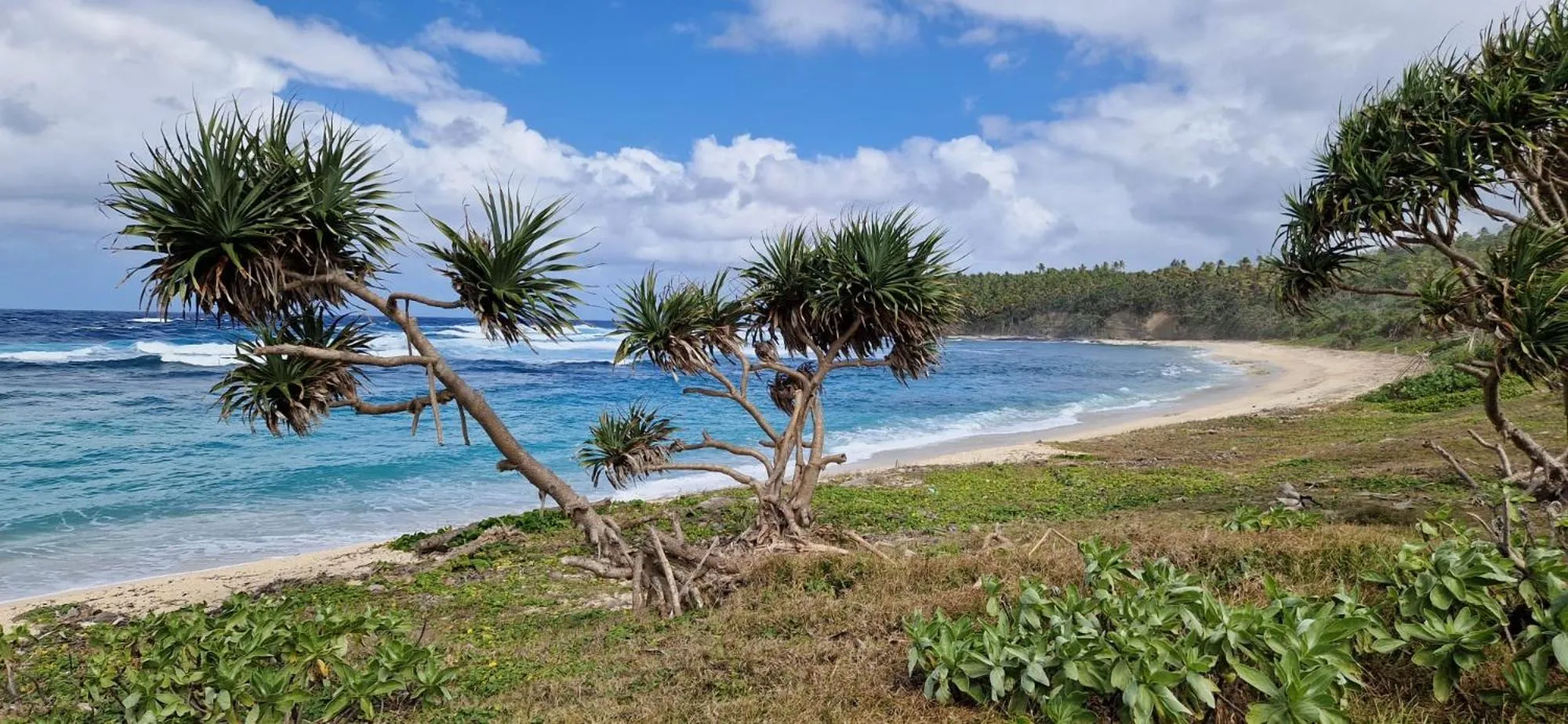 Tanna Lava View Bungalows