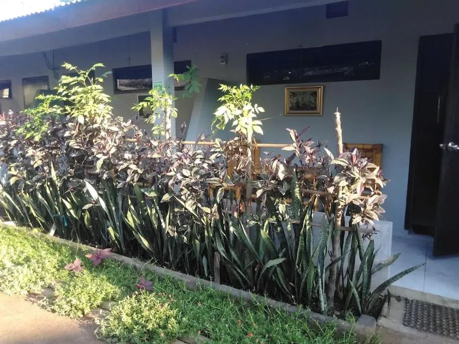 Mbah Mek Trawangan Homestay