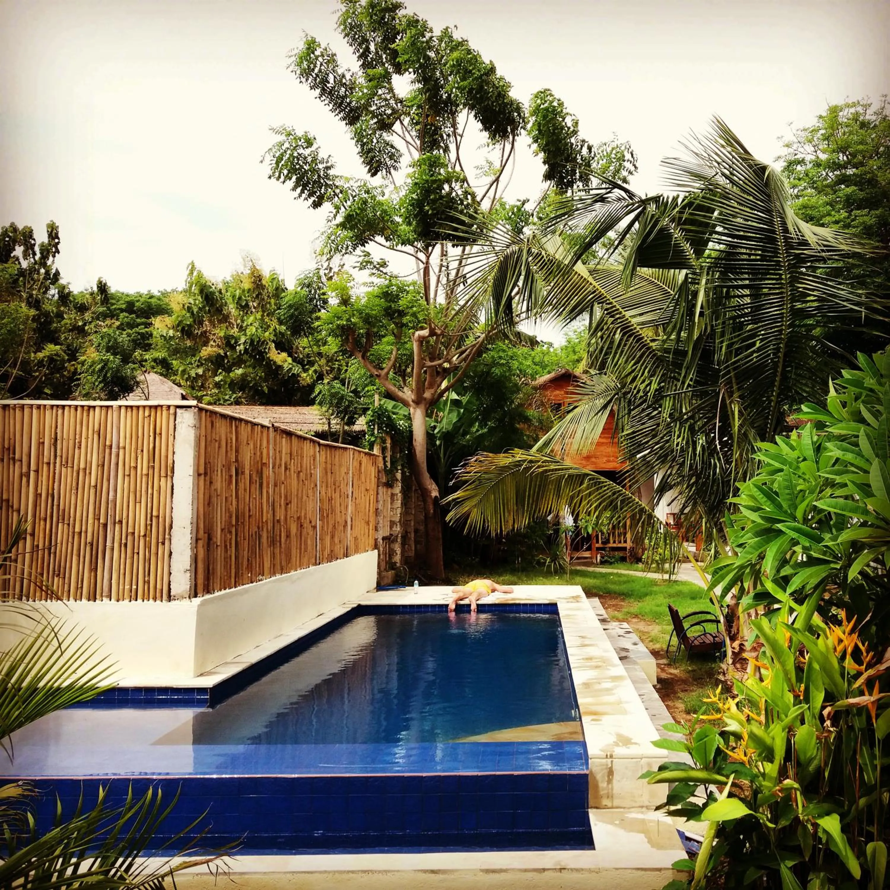 Swimming pool in Cotton Tree Cottages