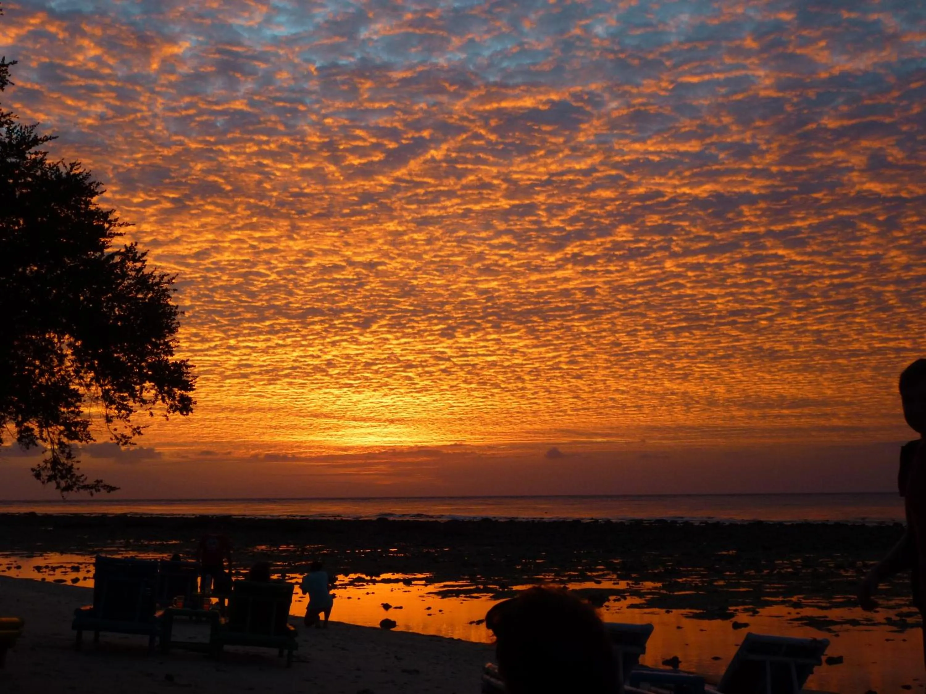 Beach in Cotton Tree Cottages