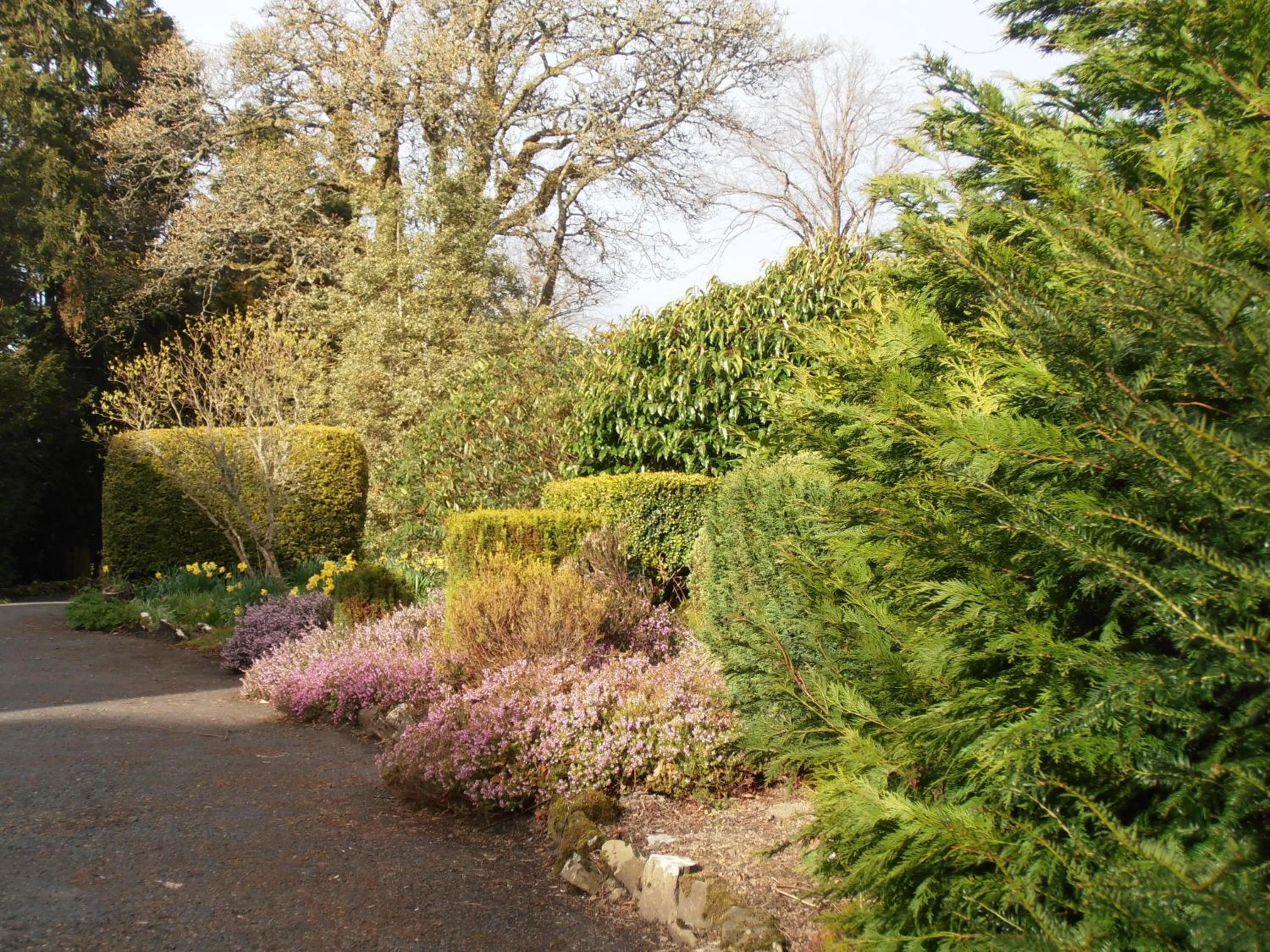 Garden in Colterscleuch House B&B