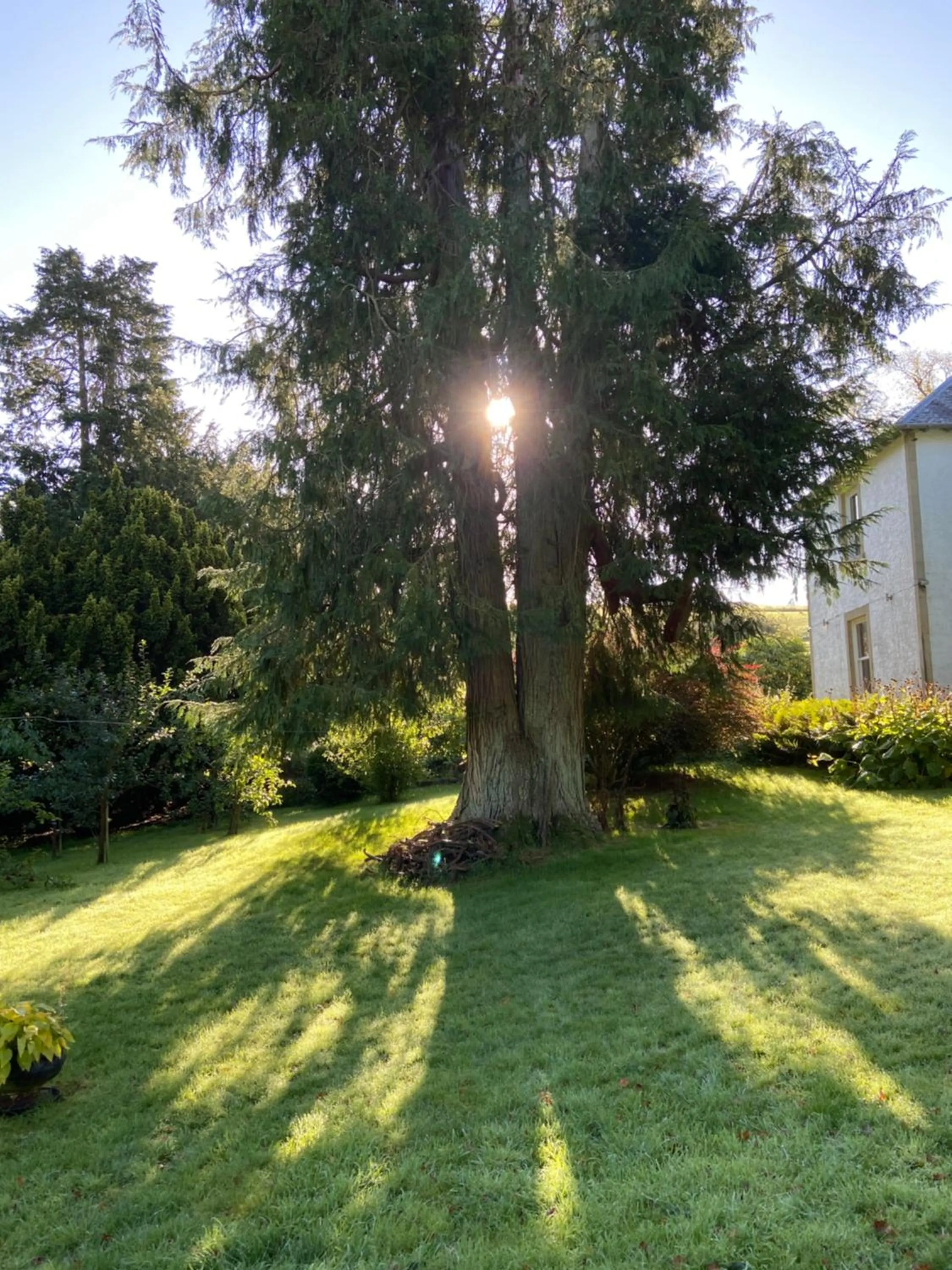 Property building in Colterscleuch House B&B