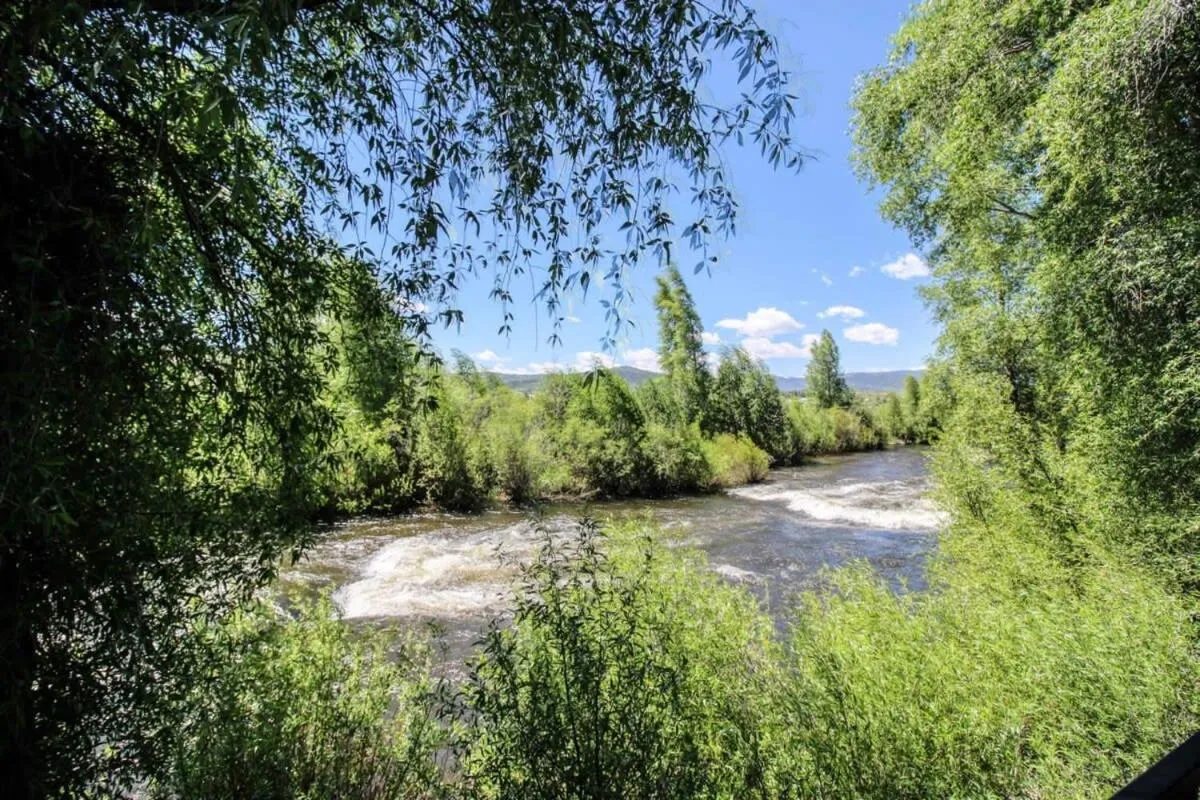 Day in Modern 3bd cabin in Edgewater