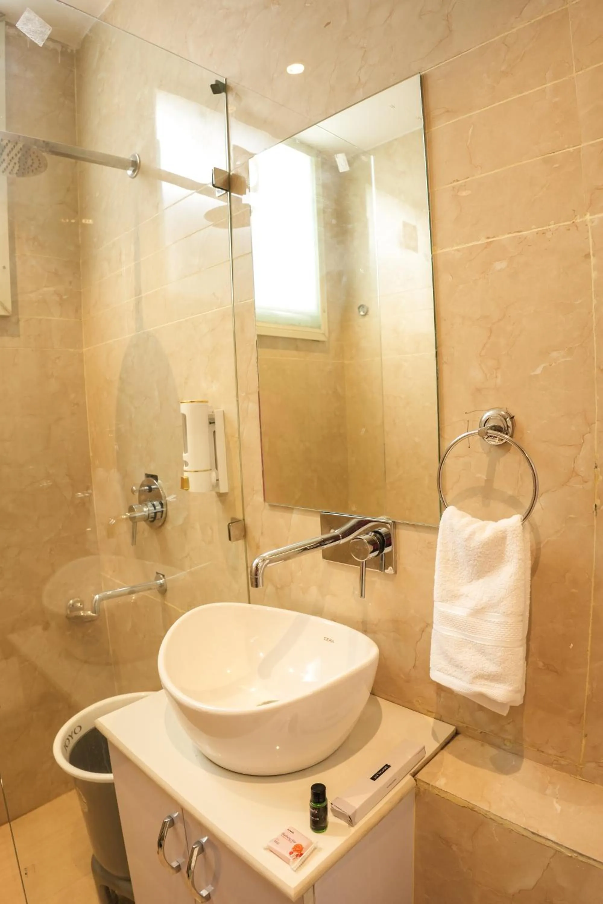 Shower in Hotel Lime Tree