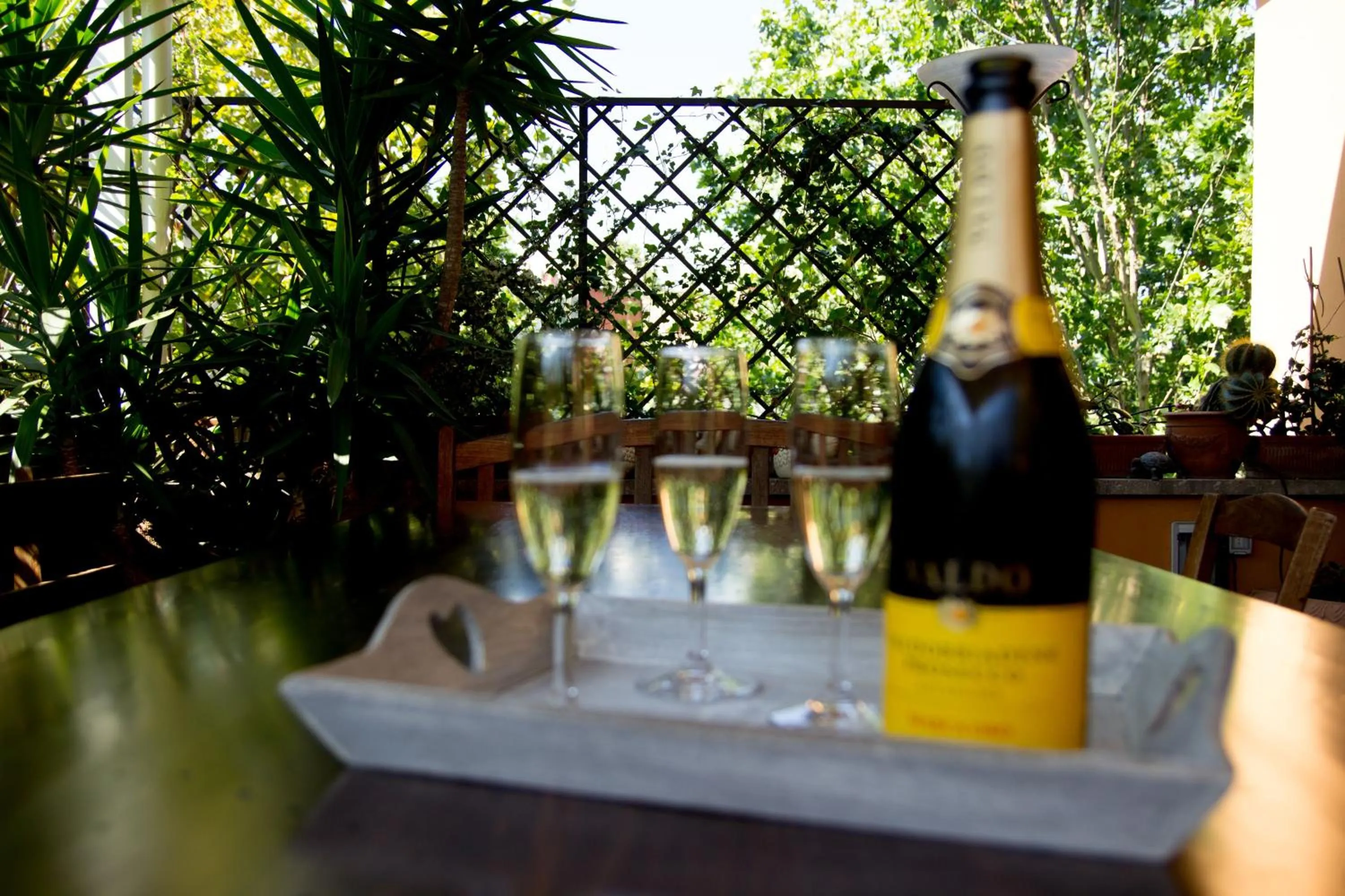 Day in Trastevere Belvedere B&B