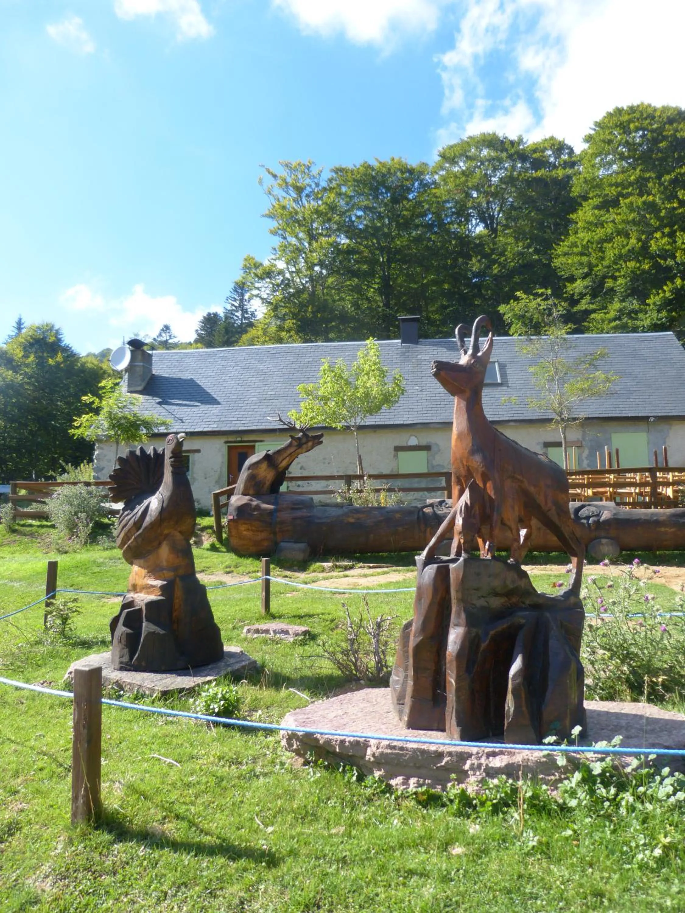 Area and facilities in Auberge La Soulan