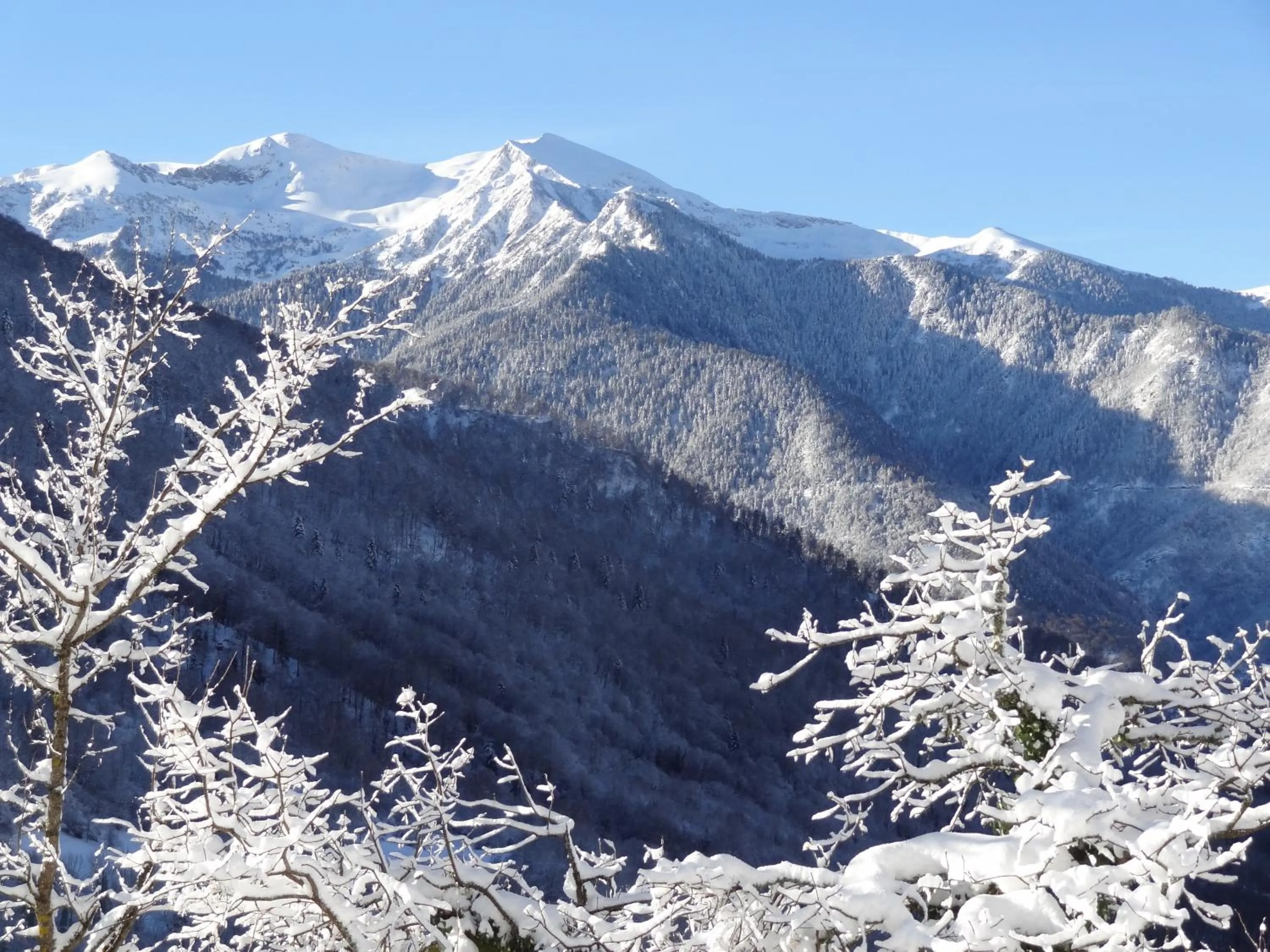 View (from property/room) in Auberge La Soulan