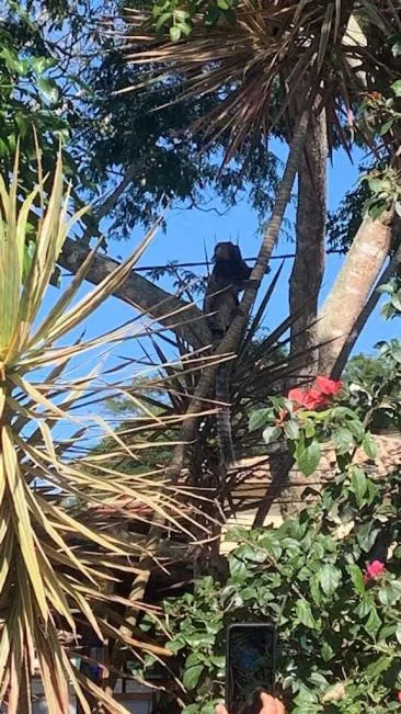 Garden in Recanto Da Ursa