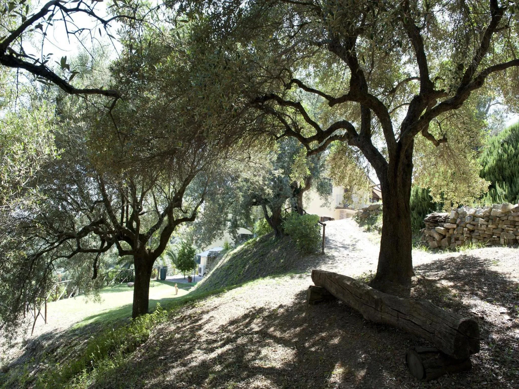 Garden in Villa Bernadette
