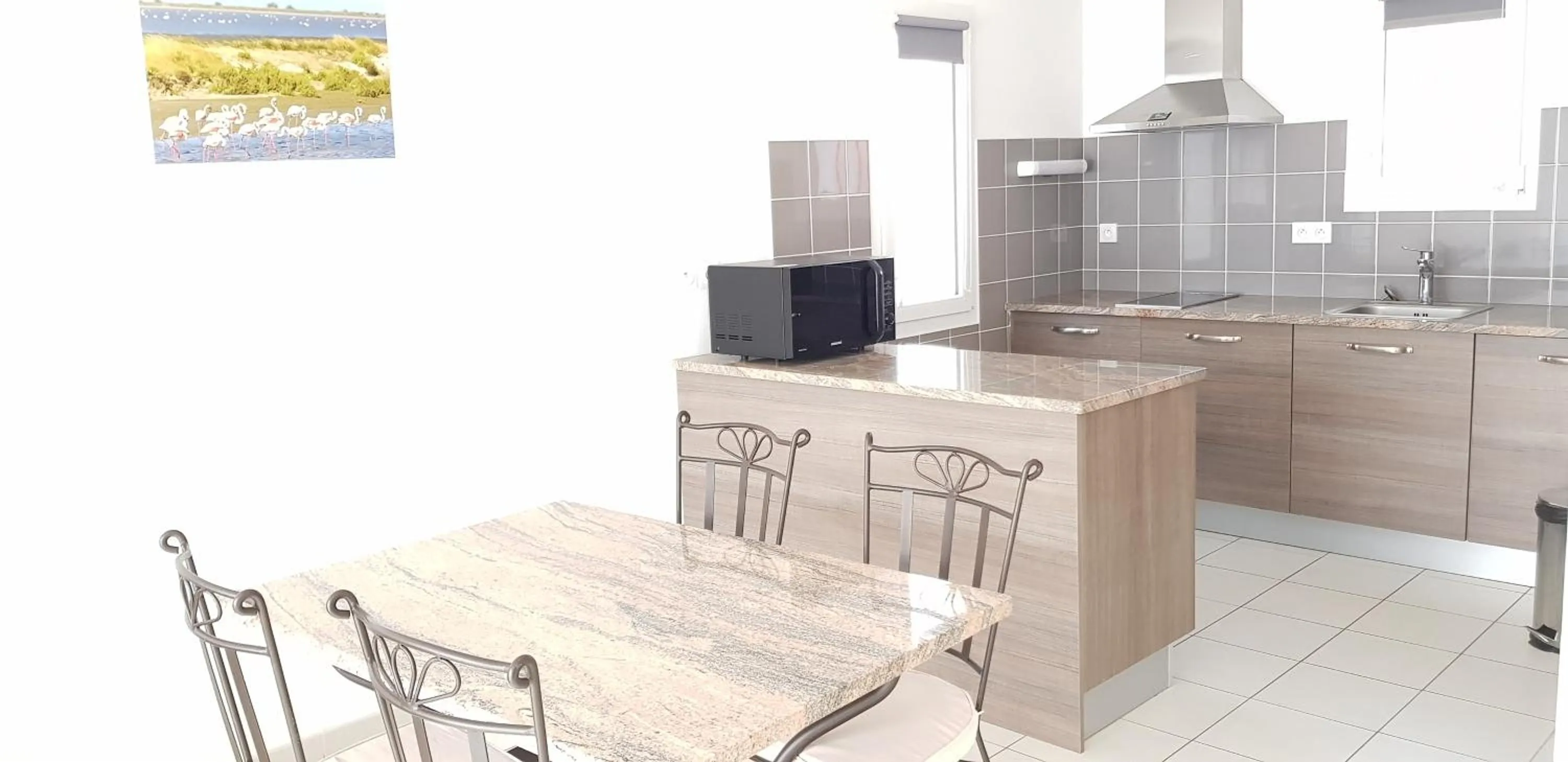 Kitchen or kitchenette in Appart'hotel Résidence La Provence