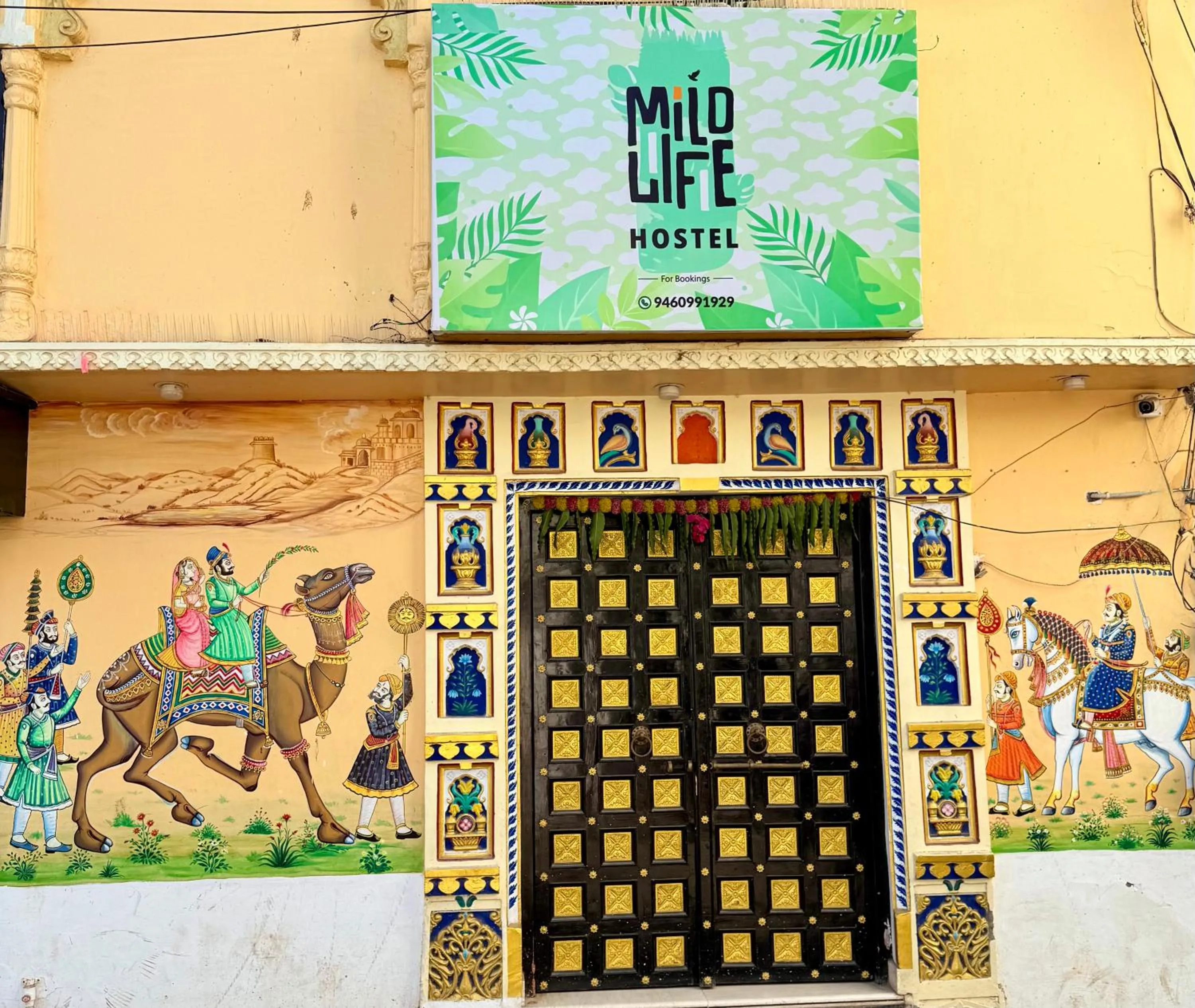 Mild Life Hostel Udaipur