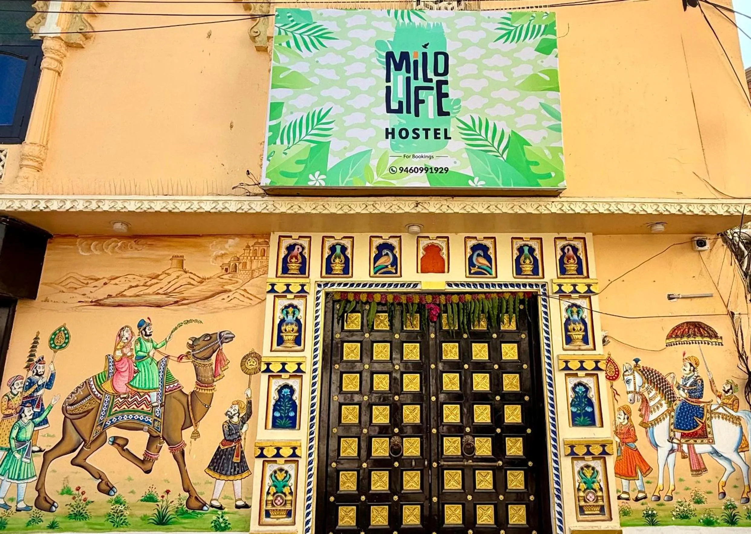 Mild Life Hostel Udaipur