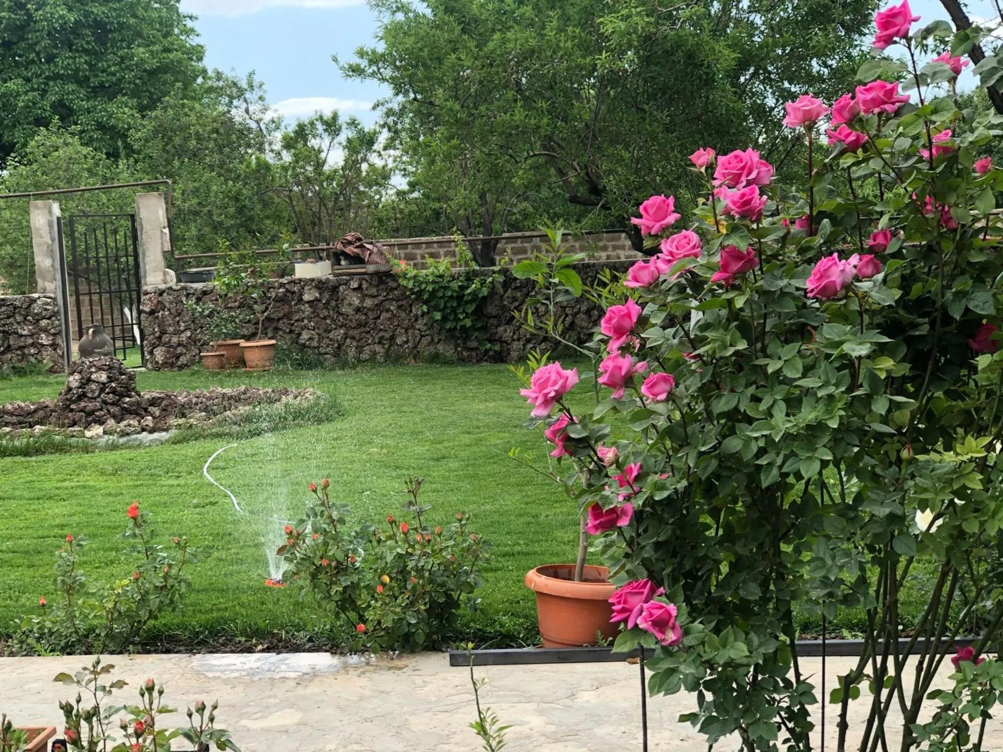 Chez Yvette