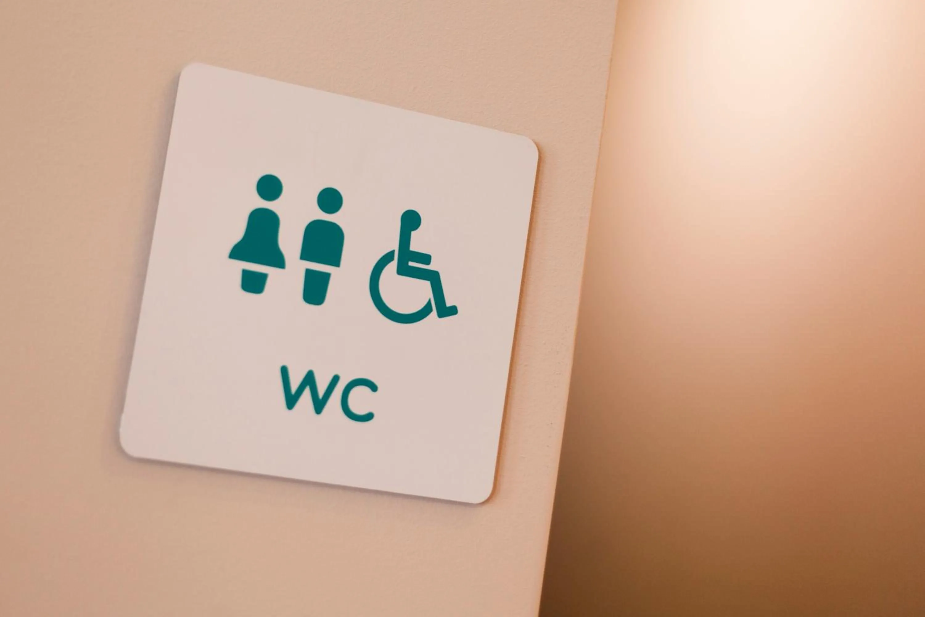 Facility for disabled guests in Ach Mazury