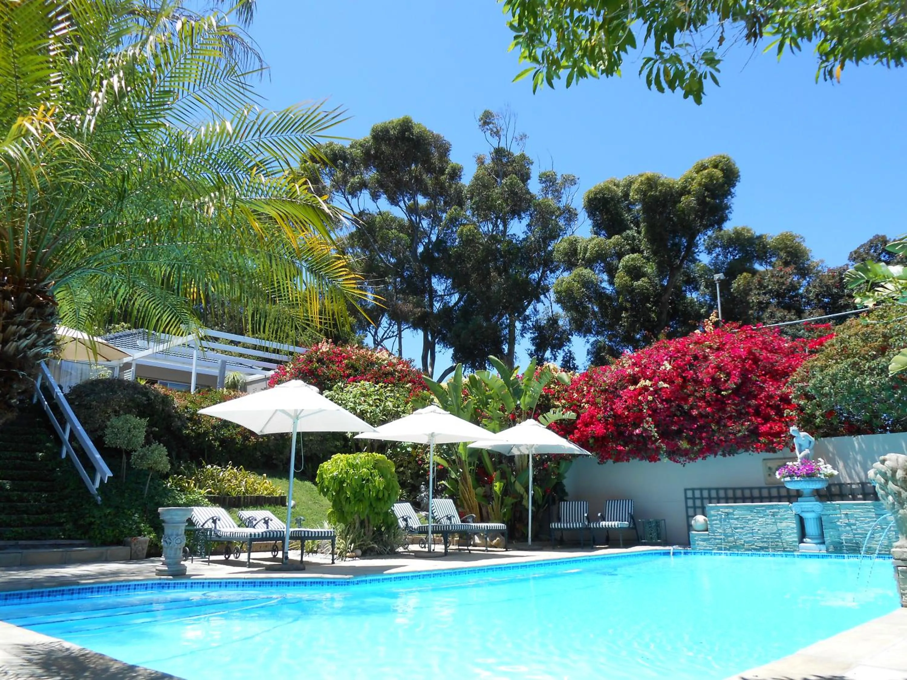 Pool view in Roosboom Guest Apartments