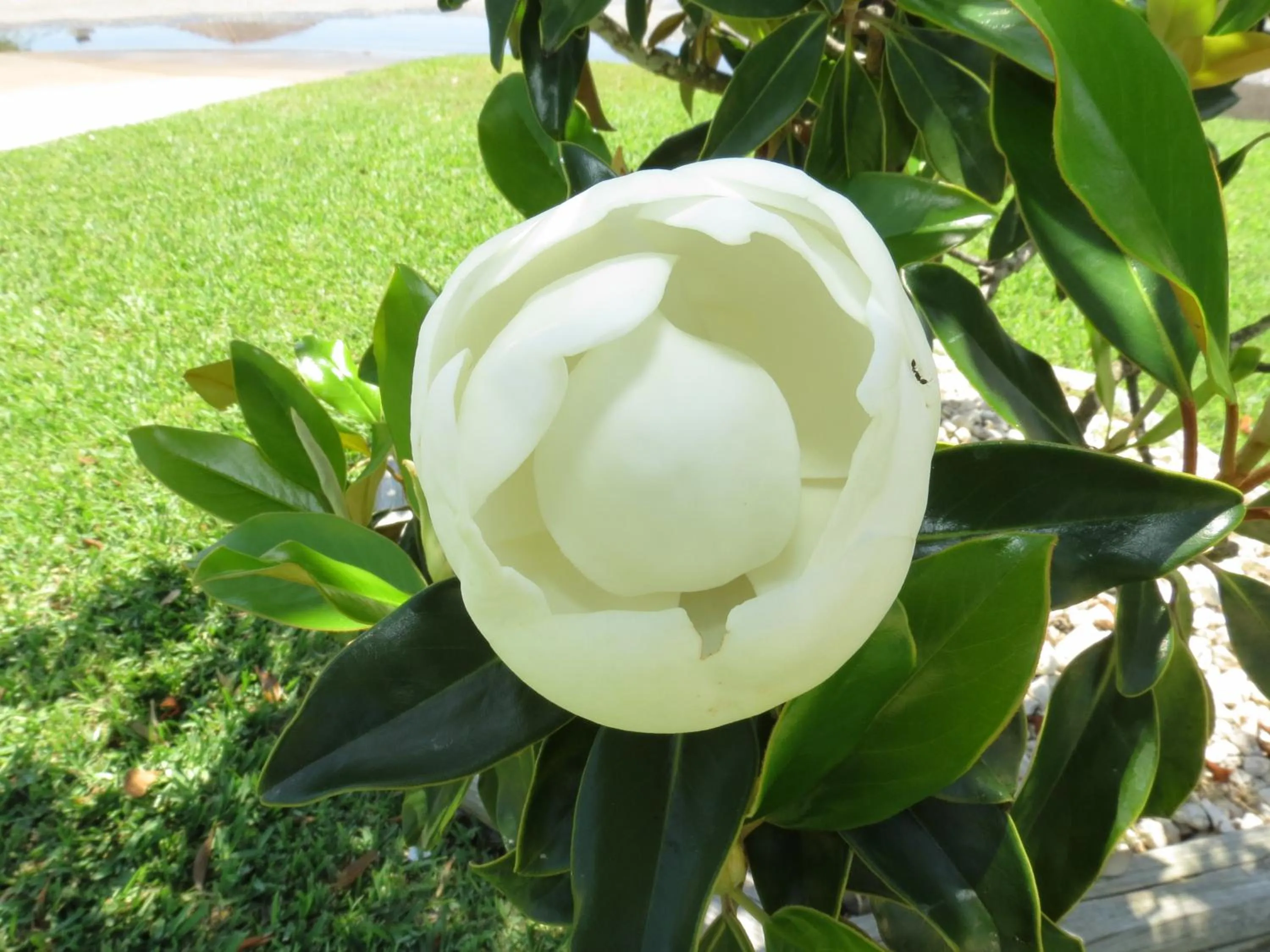 Facade/entrance in Multi Resorts at Puente Vista