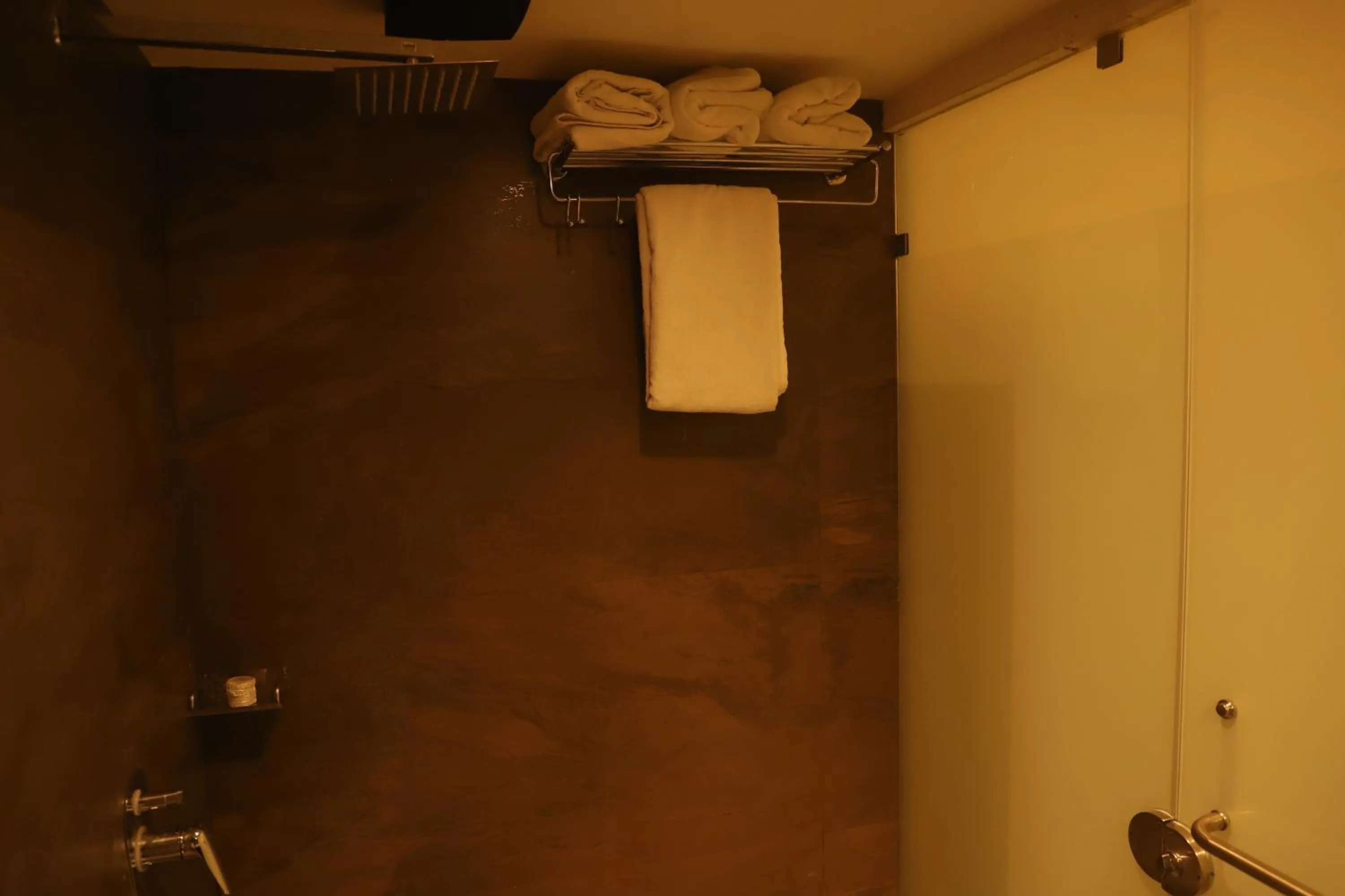 Shower in Hotel Sai Pritam