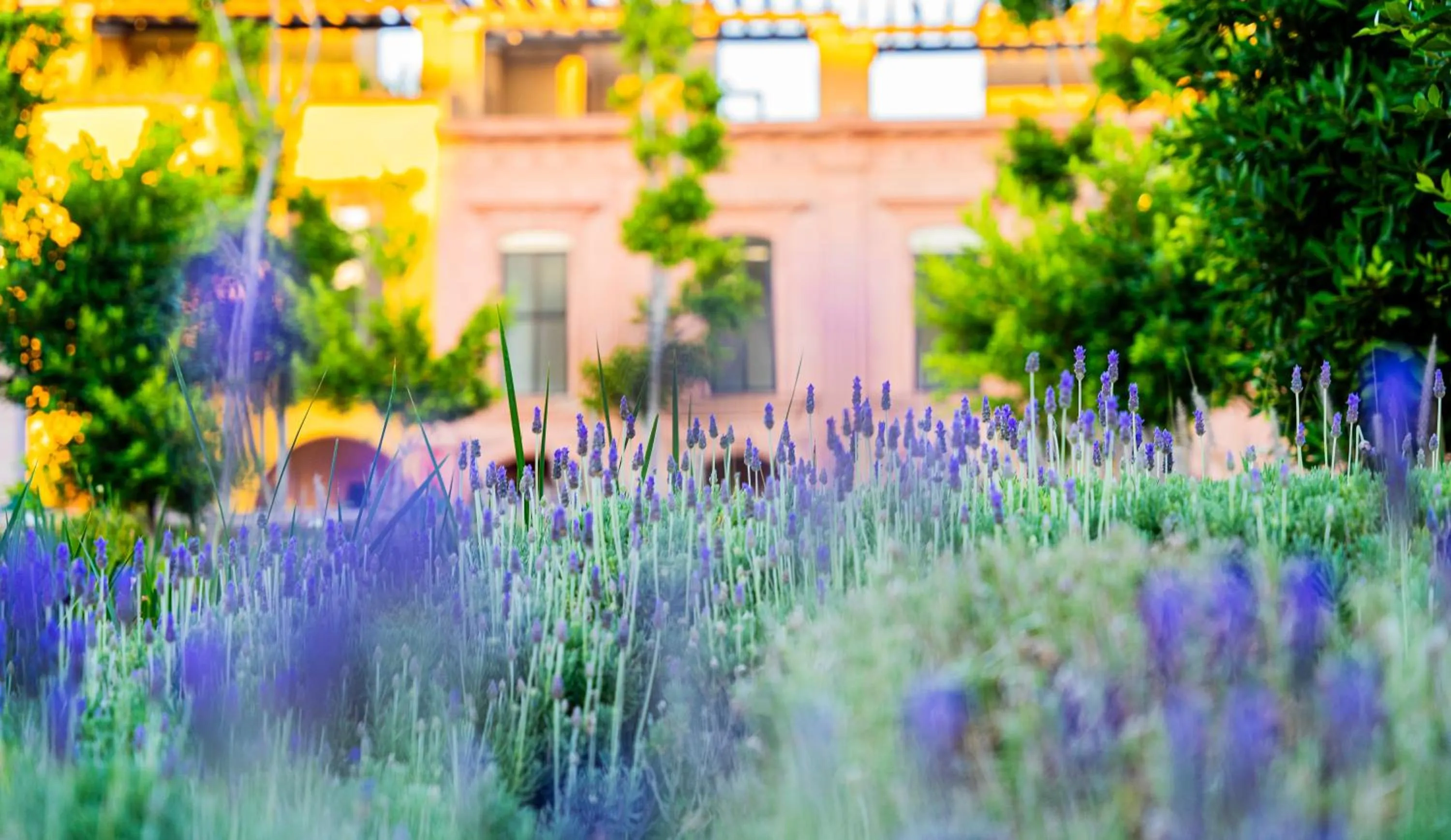 View (from property/room) in Krystal Grand Residences & Villas San Miguel de Allende