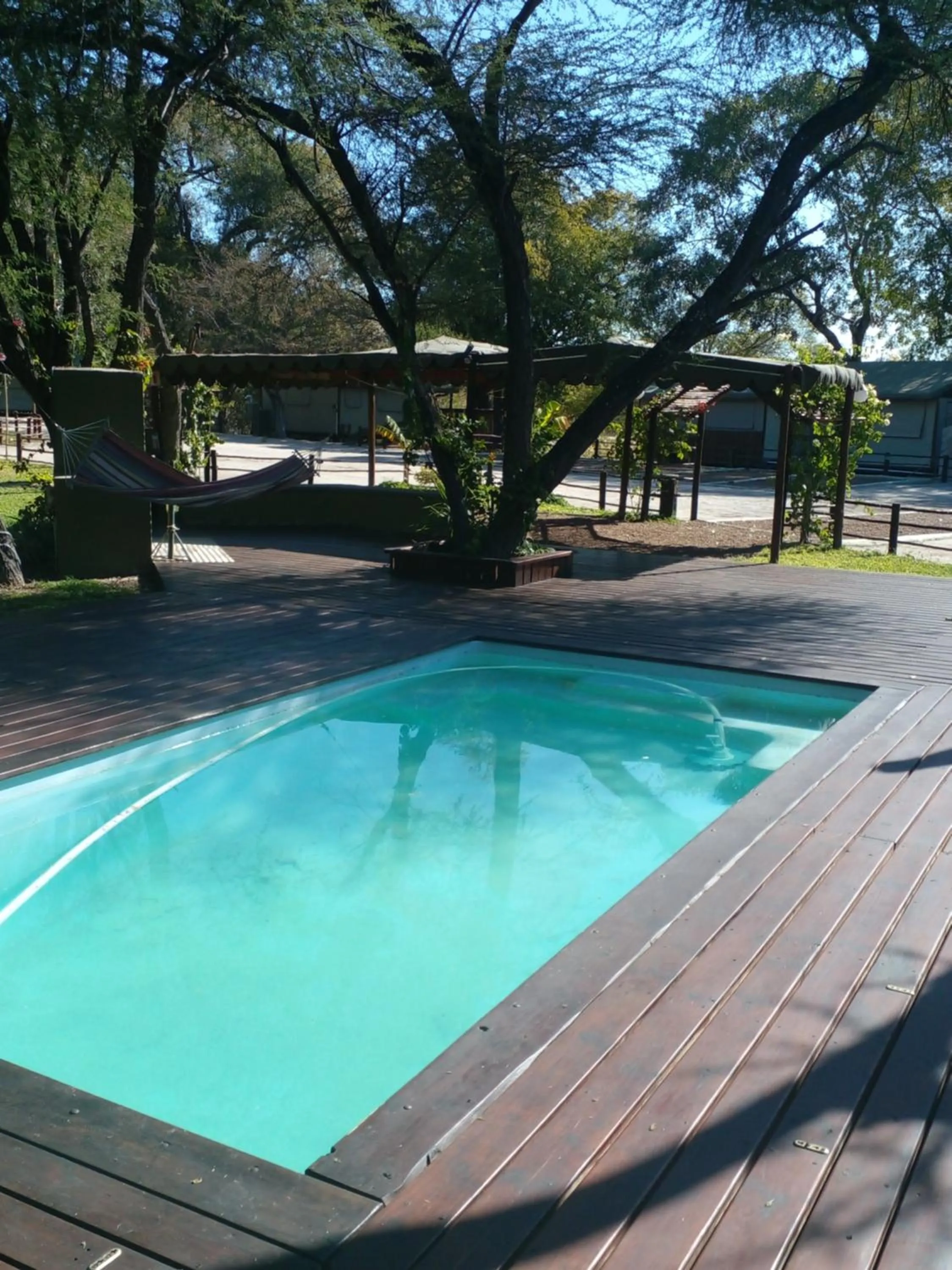 Pool view in Nako Okavango Guesthouse