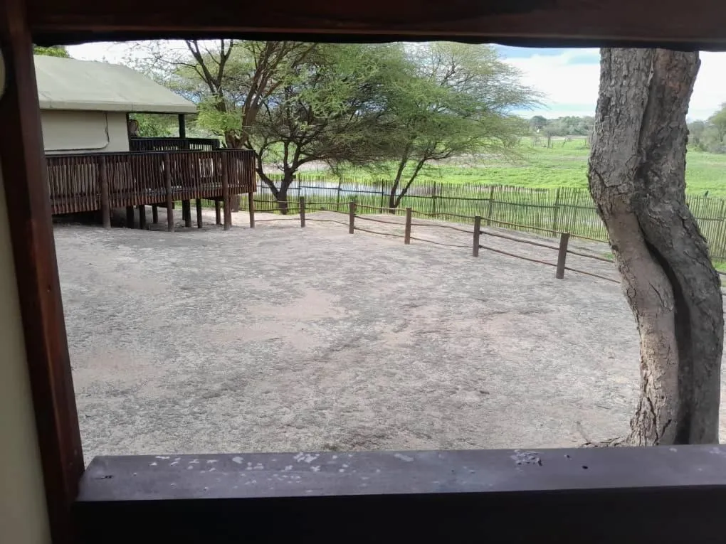 Day in Nako Okavango Guesthouse