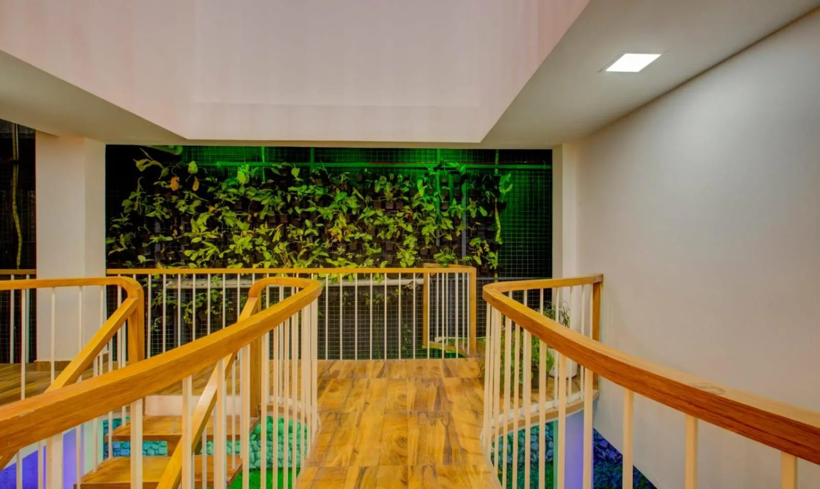 Garden in NAWAL MAHAL