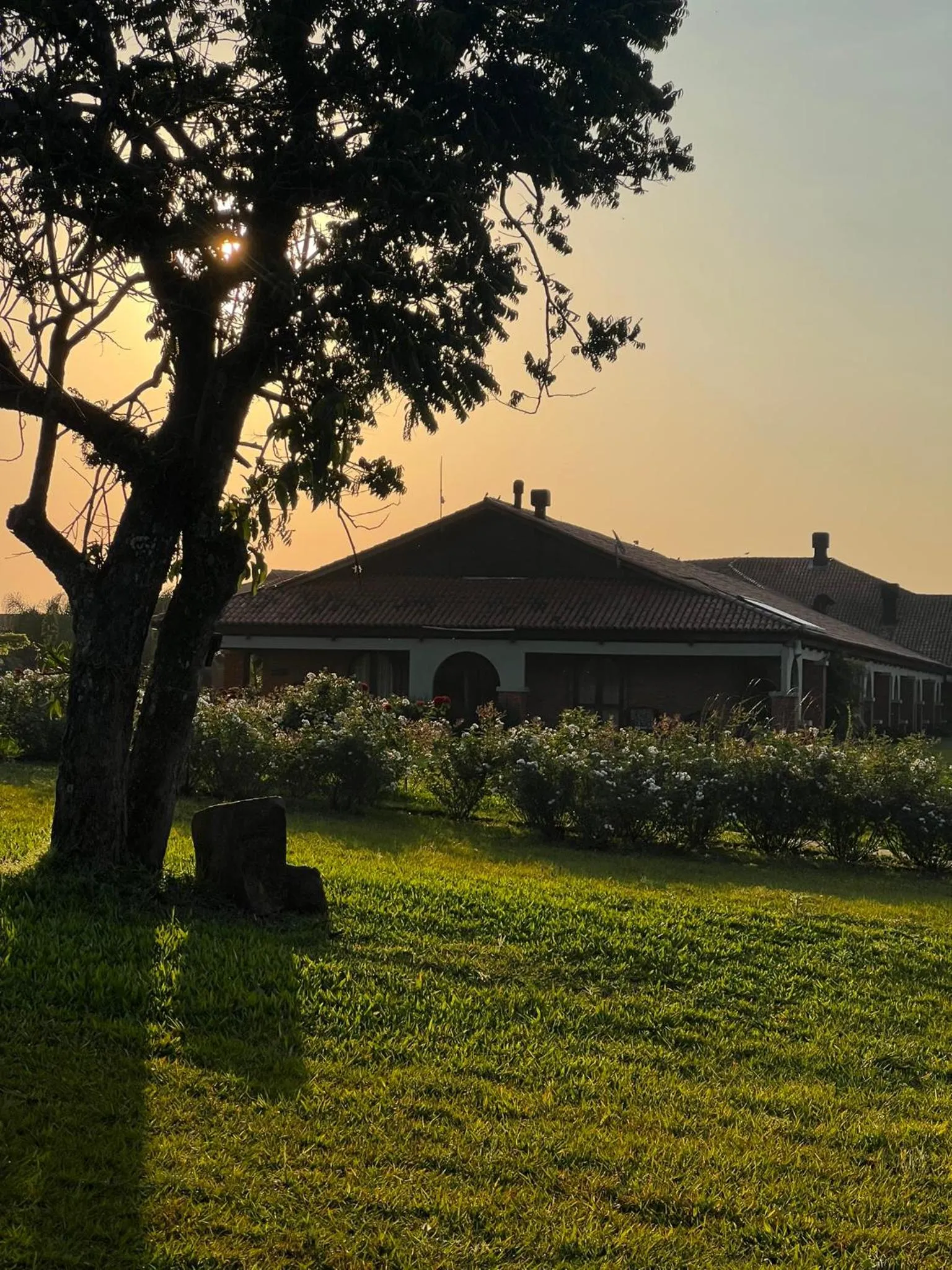 Garden view in Tenondé Park Hotel