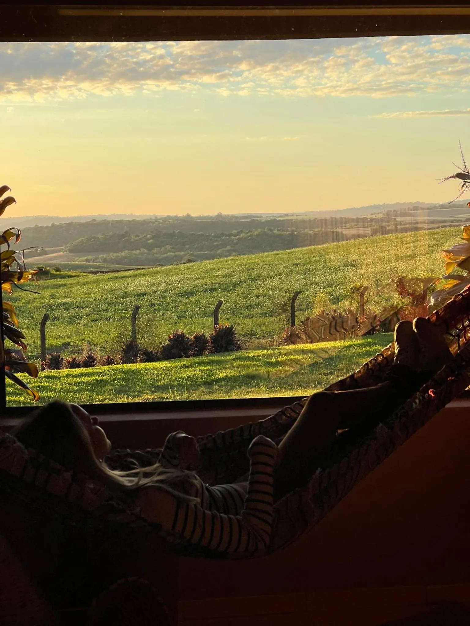 Natural landscape in Tenondé Park Hotel