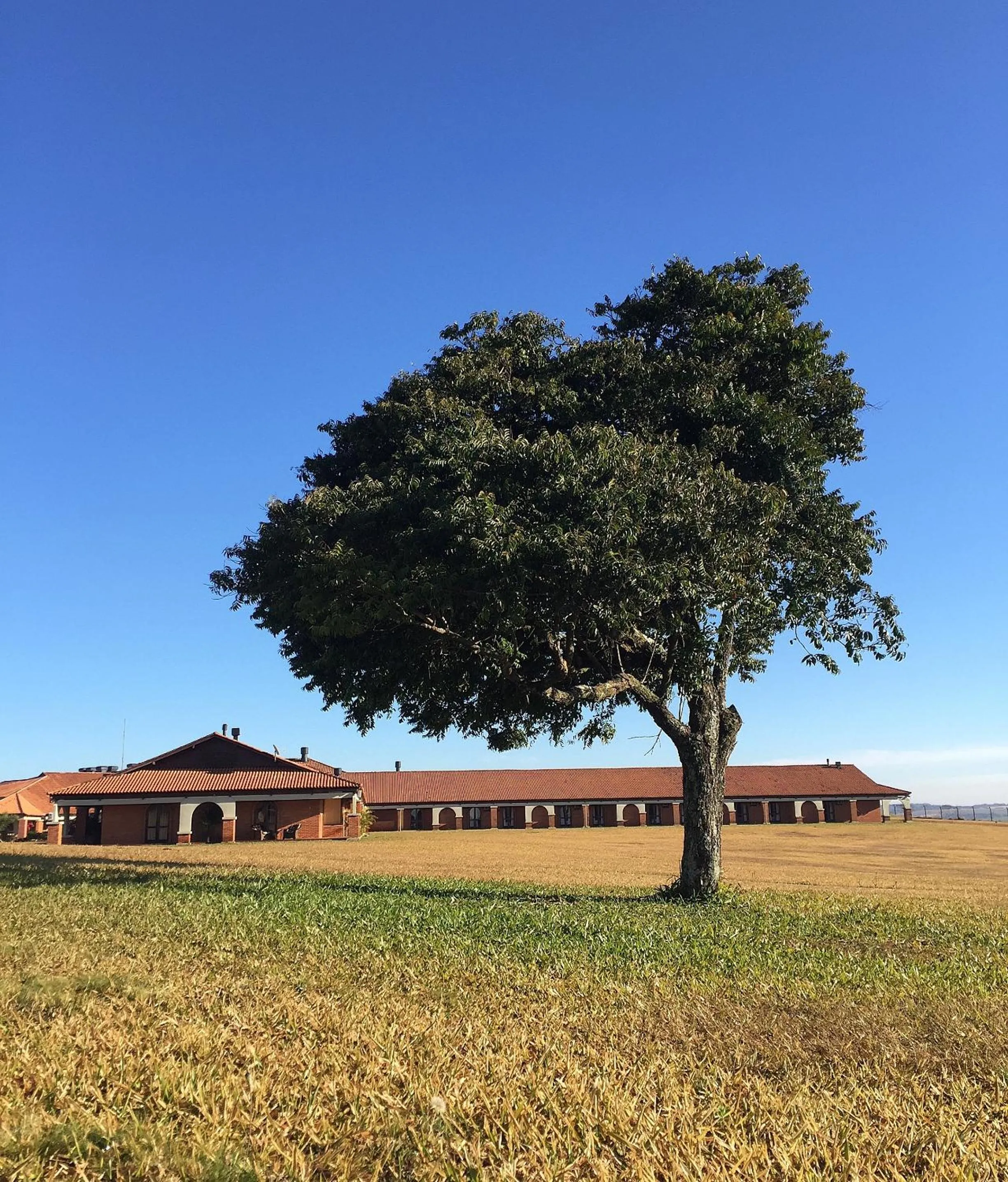 Day in Tenondé Park Hotel
