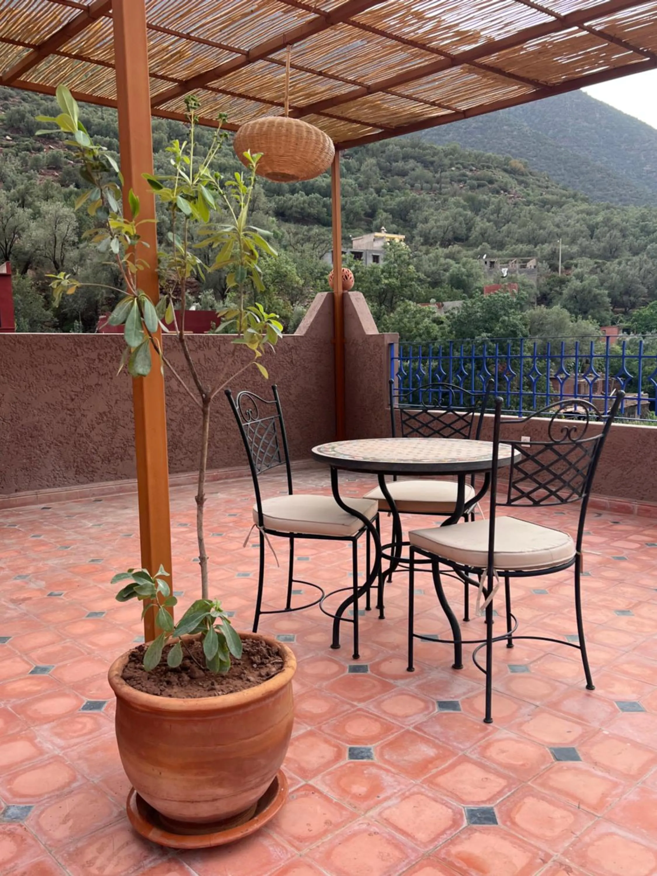 Patio in Tazart Lodge