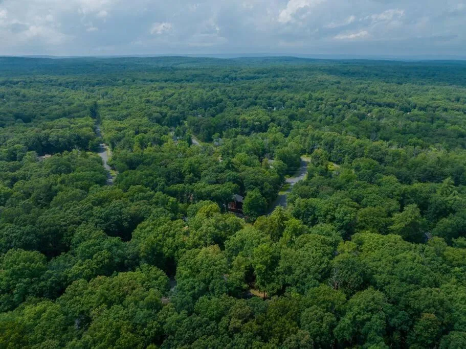 Bird's eye view in Cozy Chalet Game Rm and Fireplace