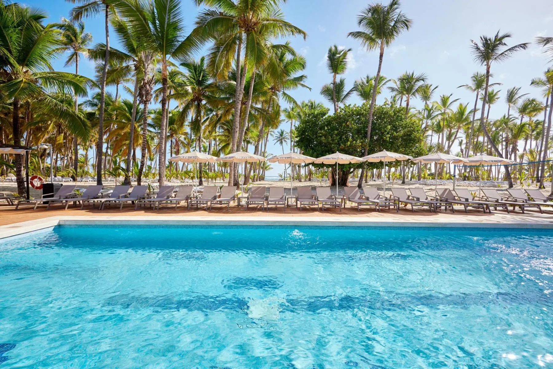 Swimming pool in Riu Palace Macao - Adults Only - All Inclusive