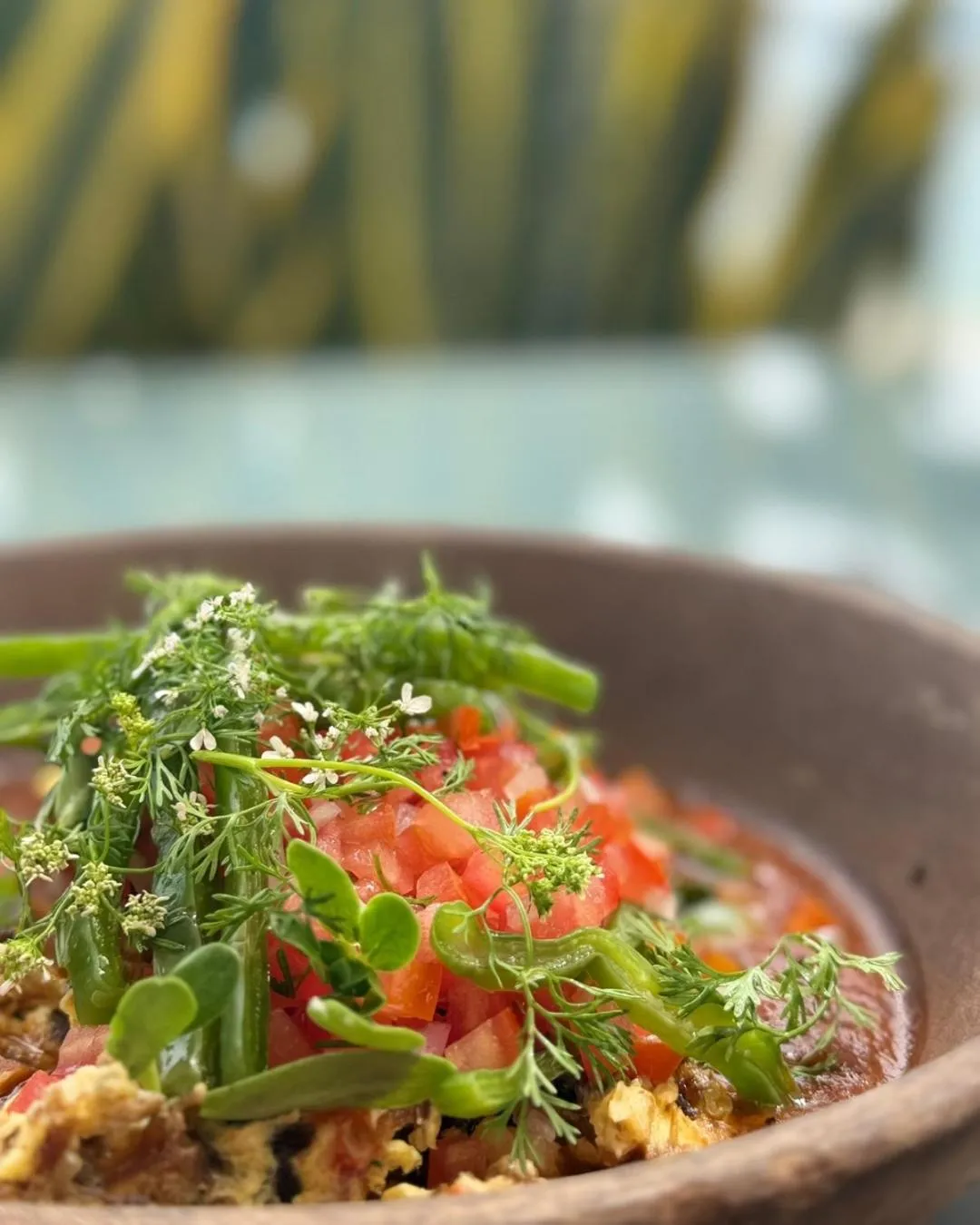 Quinta Bella Huatulco