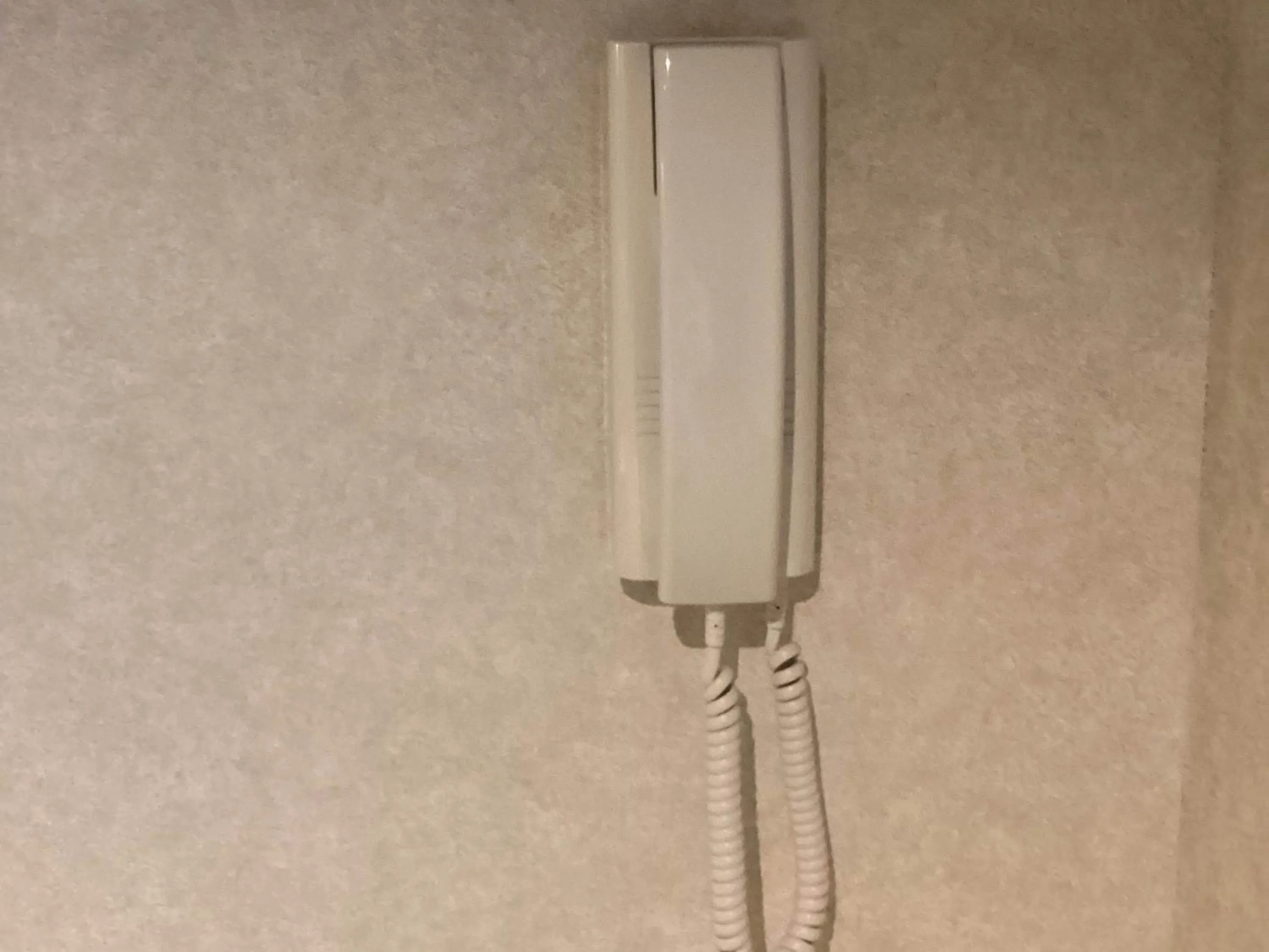 Other in Prince Smart Inn Miyazaki