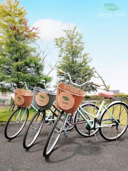 Entertainment in Aleex Villa