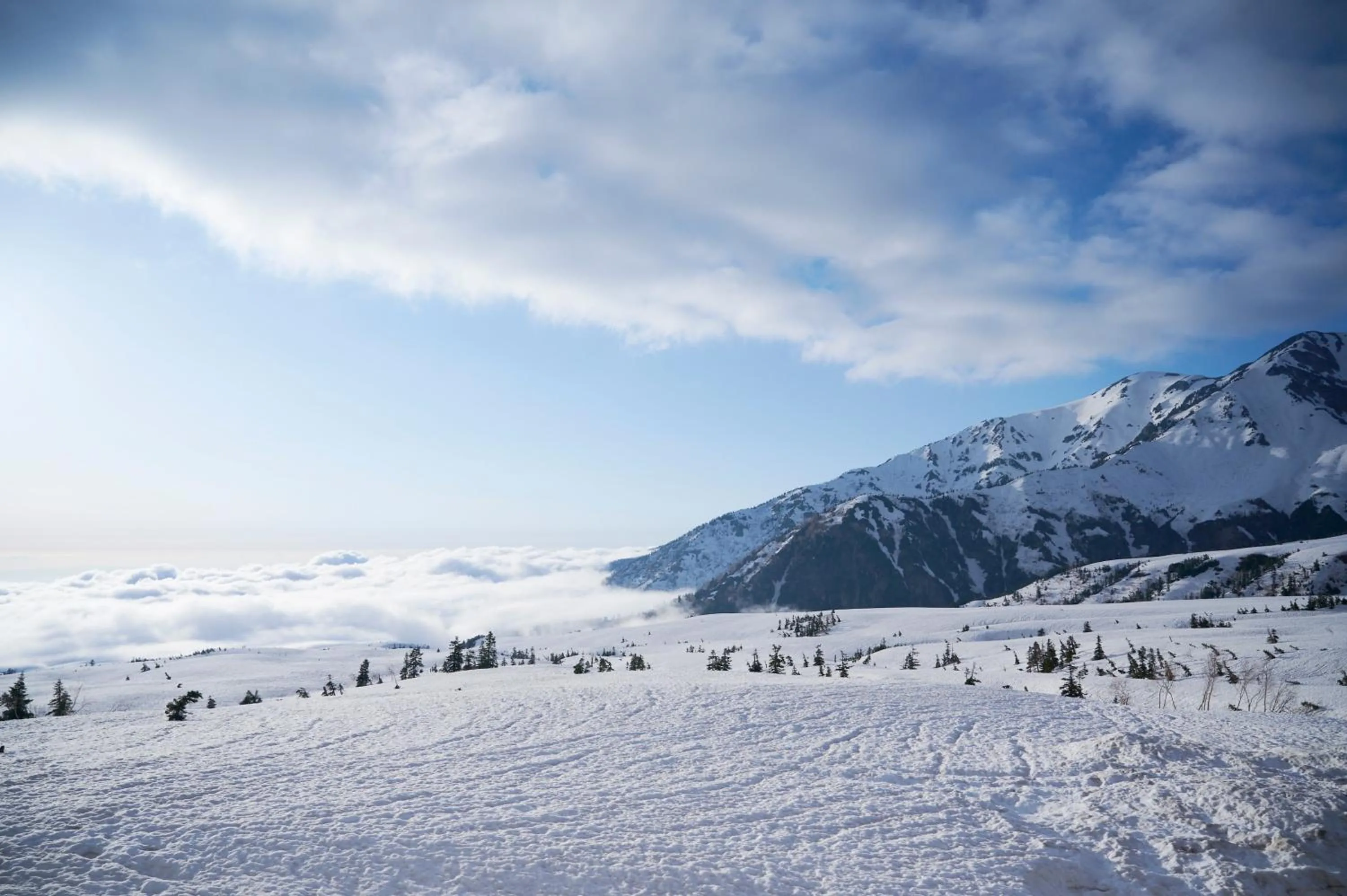Natural landscape in Midagahara Hotel
