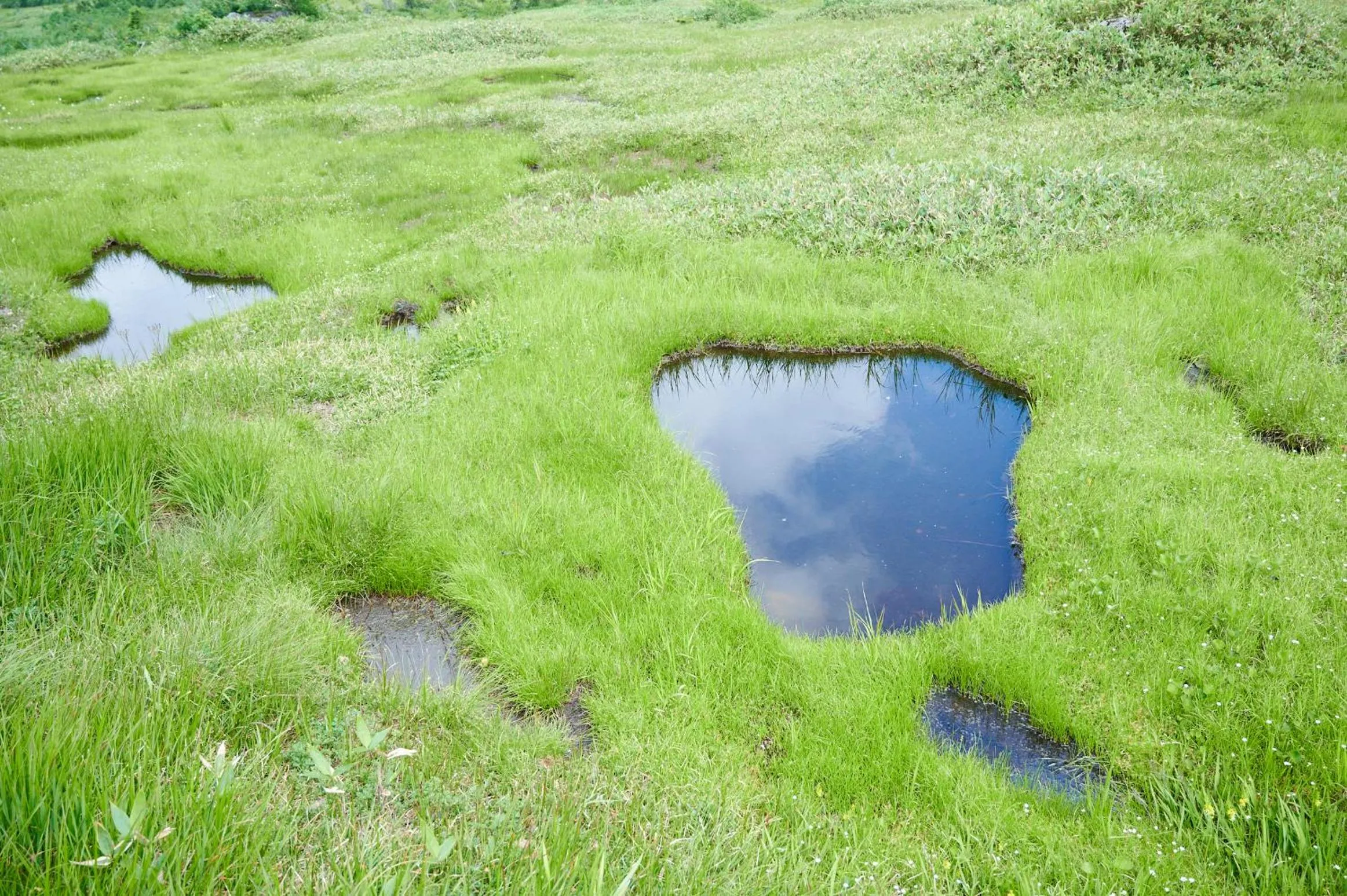 Natural landscape in Midagahara Hotel