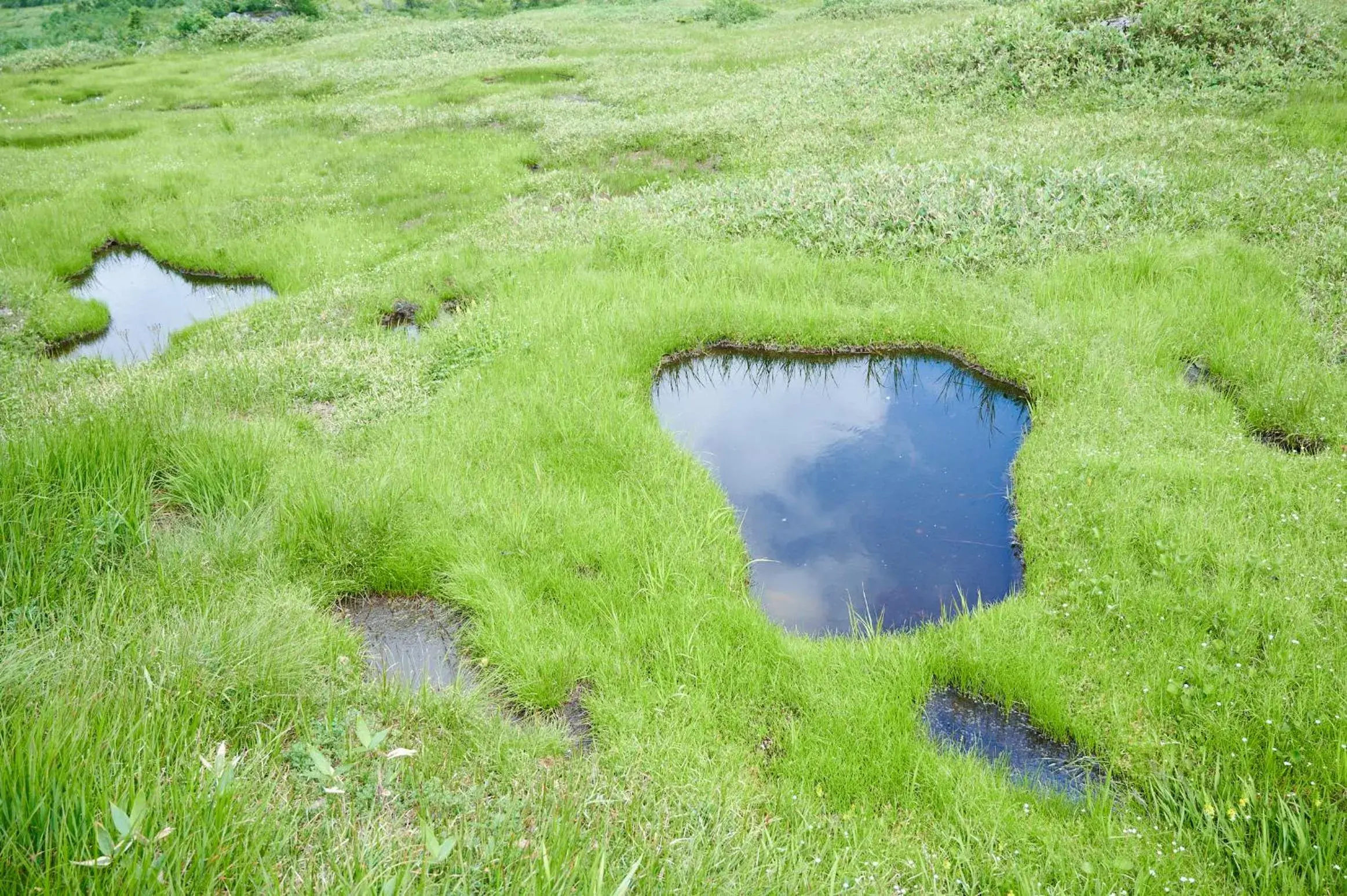 Natural landscape in Midagahara Hotel Natural landscape in Midagahara Hotel